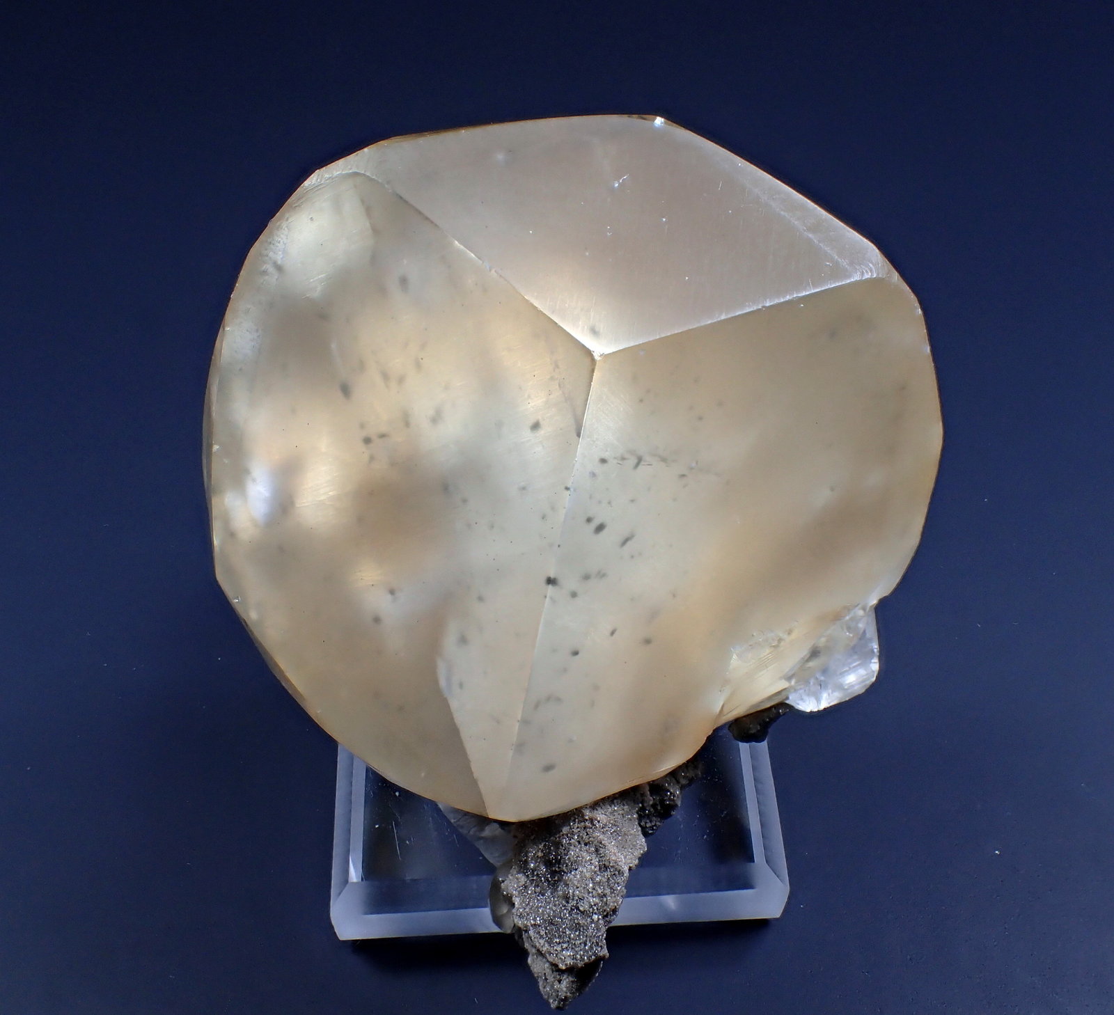 Calcite, Marcasite
60 mm x 44 mm x 43 mm
(Autor: Don Lum)
