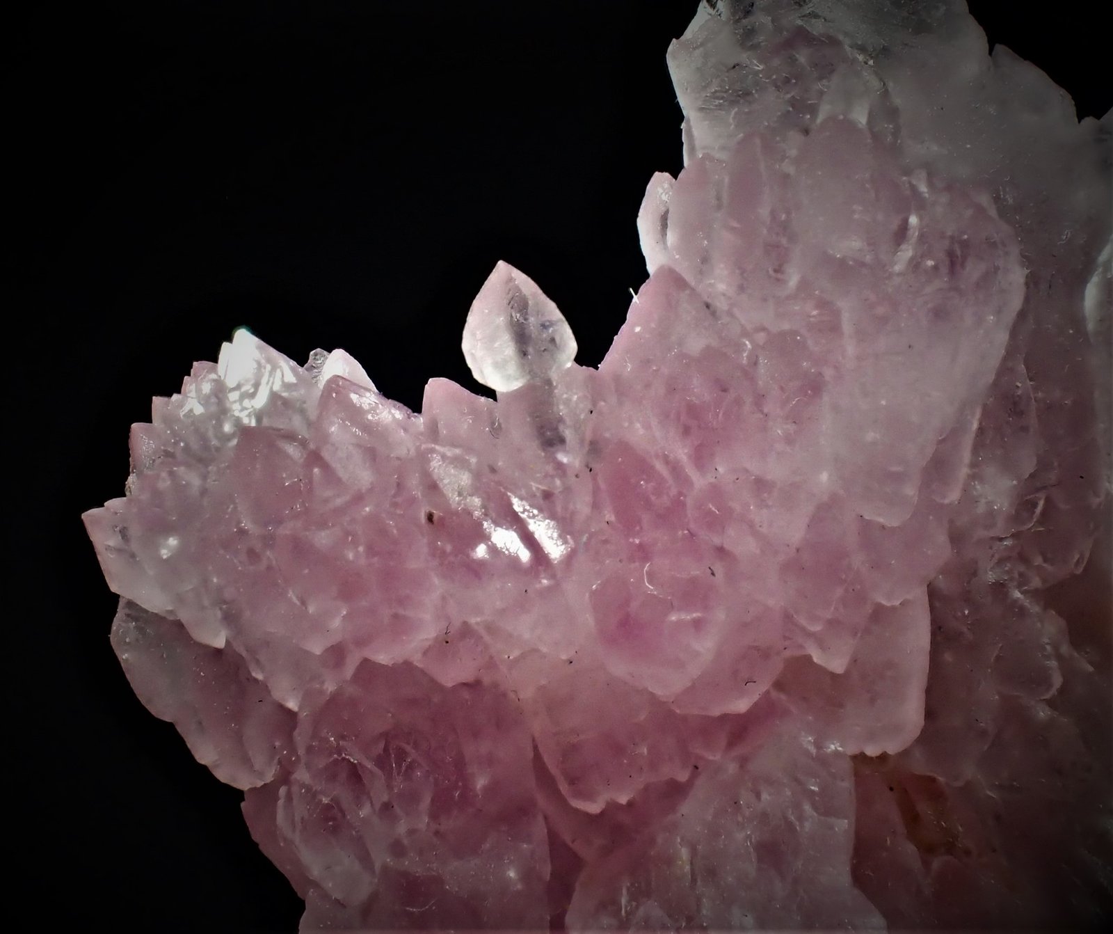 Quartz (variety rose quartz)
110  mm x 70 mm x 65 mm
(Autor: Don Lum)