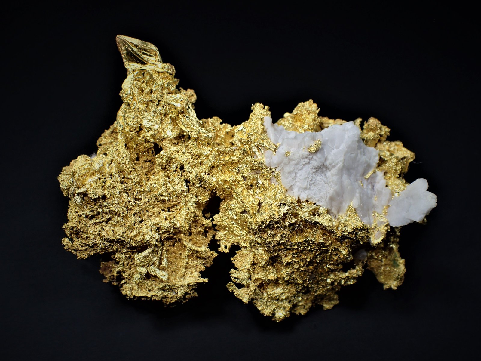 Gold
77 mm x  53 mm
(Autor: Don Lum)