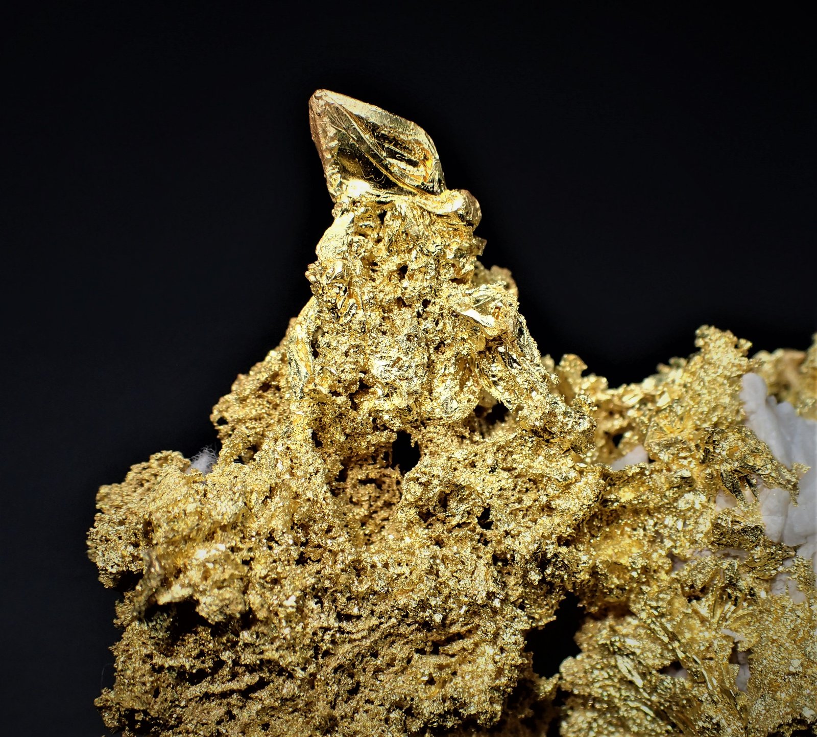 Gold
77 mm x  53 mm
(Autor: Don Lum)