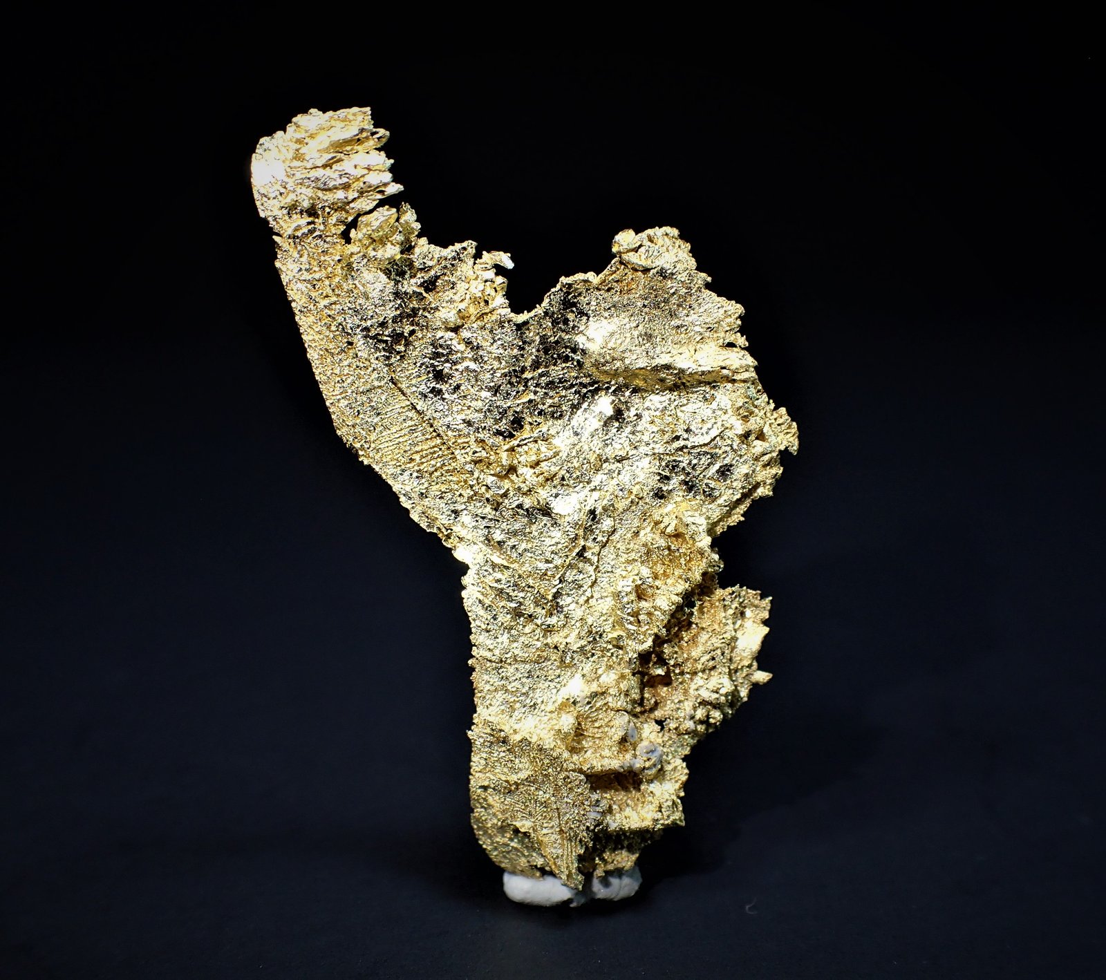Gold
36 mm x 20 mm
(Autor: Don Lum)