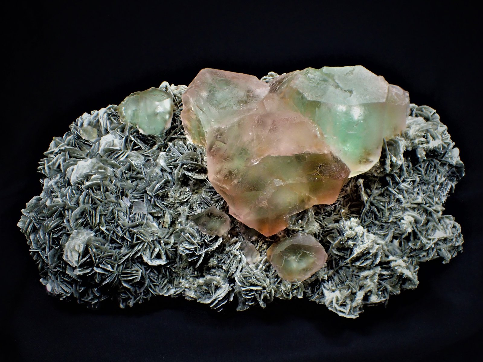 Fluorite, Muscovite
36 cm x 24 cm
(Autor: Don Lum)