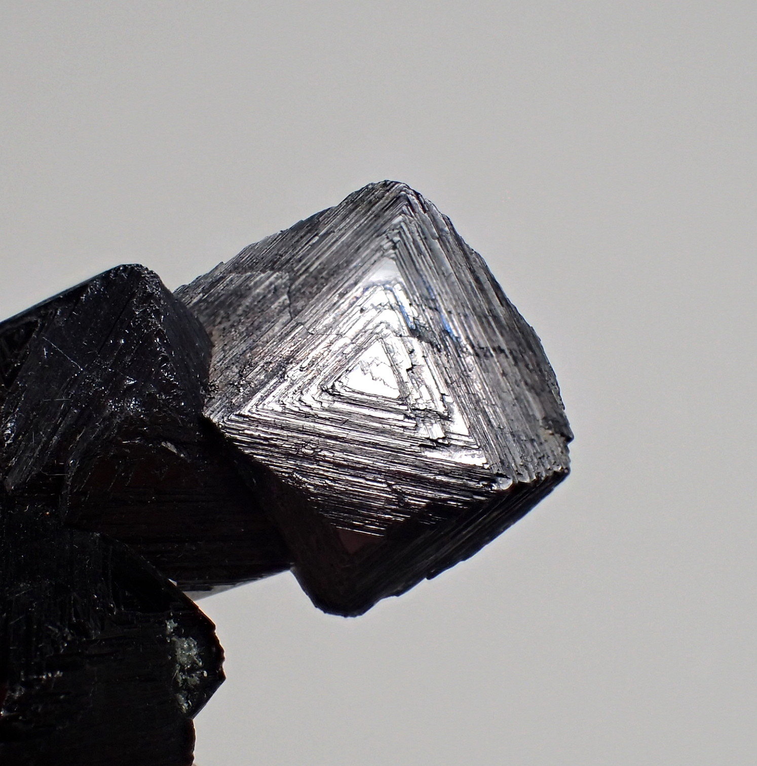 Magnetite
45 mm x 25 mm x 17 mm
(Autor: Don Lum)