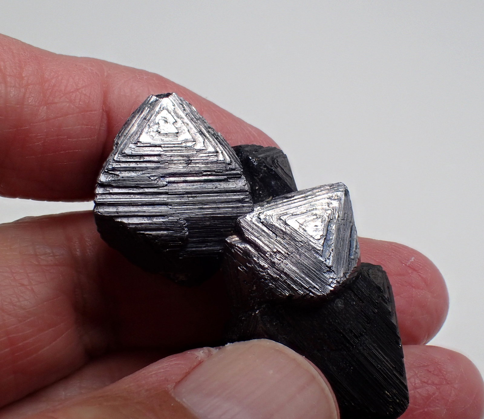 Magnetite
45 mm x 25 mm x 17 mm
(Autor: Don Lum)