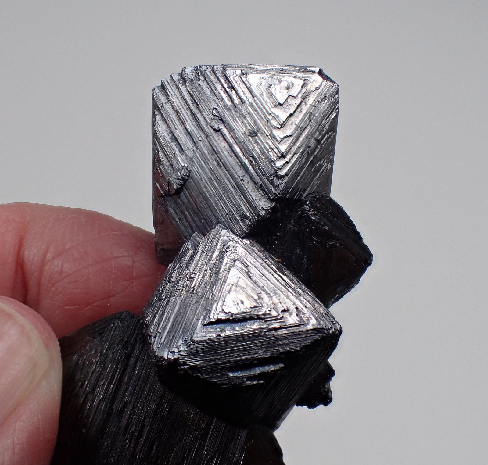 Magnetite
45 mm x 25 mm x 17 mm
(Autor: Don Lum)