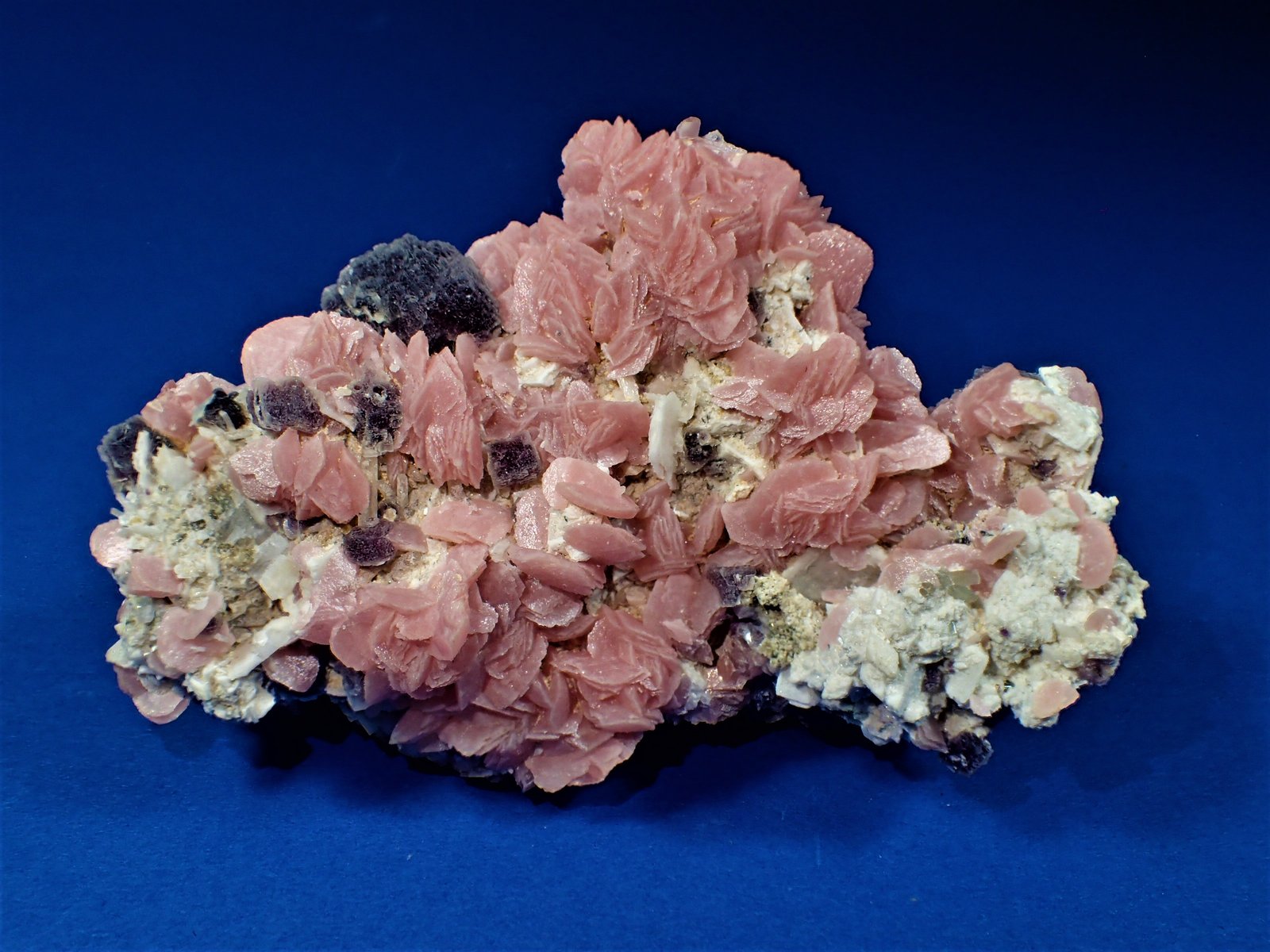 Rhodochrosite, Fluorite, Barite, Apatite
78 mm x 54 mm x 37 mm
(Autor: Don Lum)