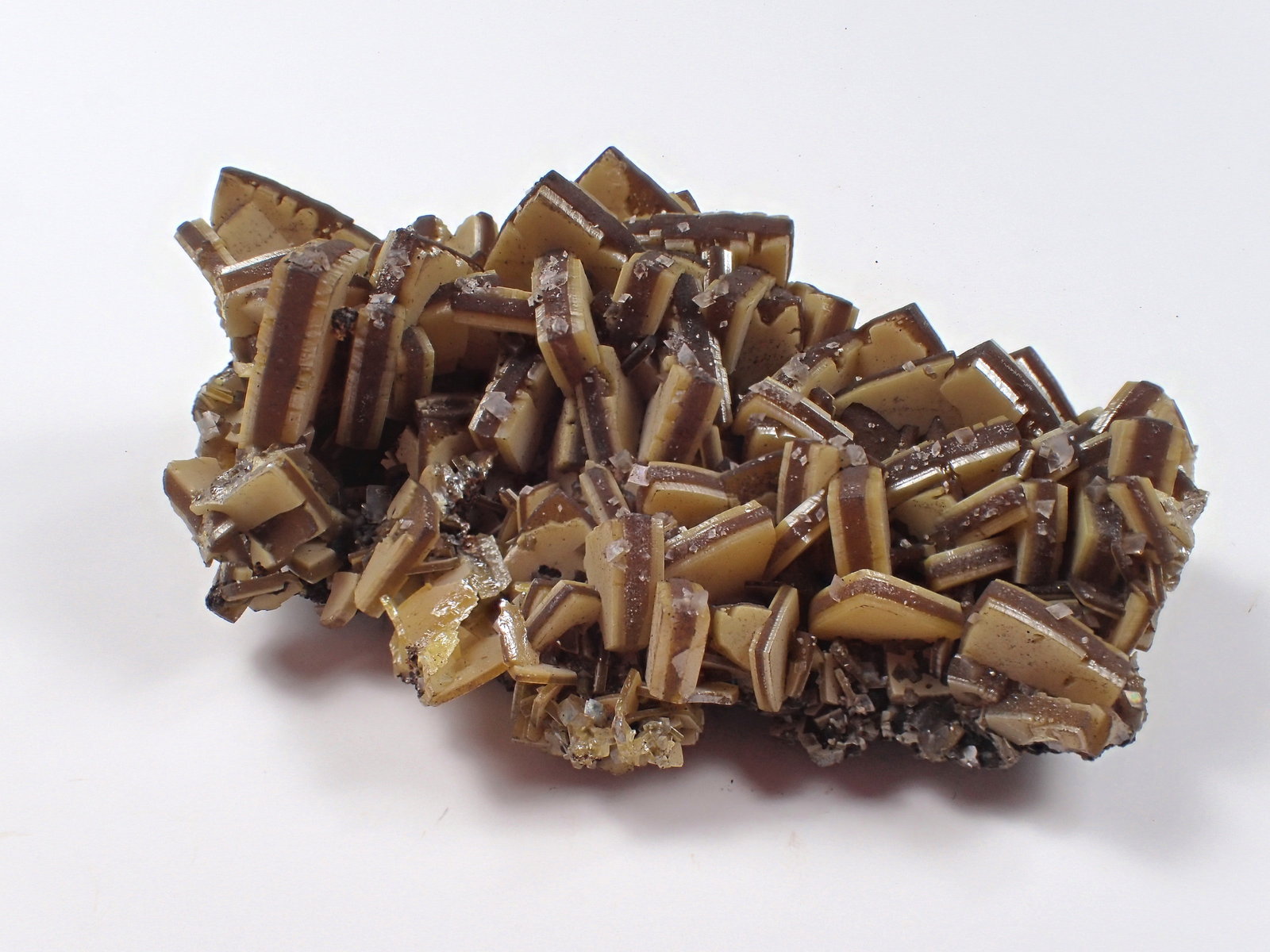 Wulfenite
68 mm x 43 mm x 28 mm
(Autor: Don Lum)