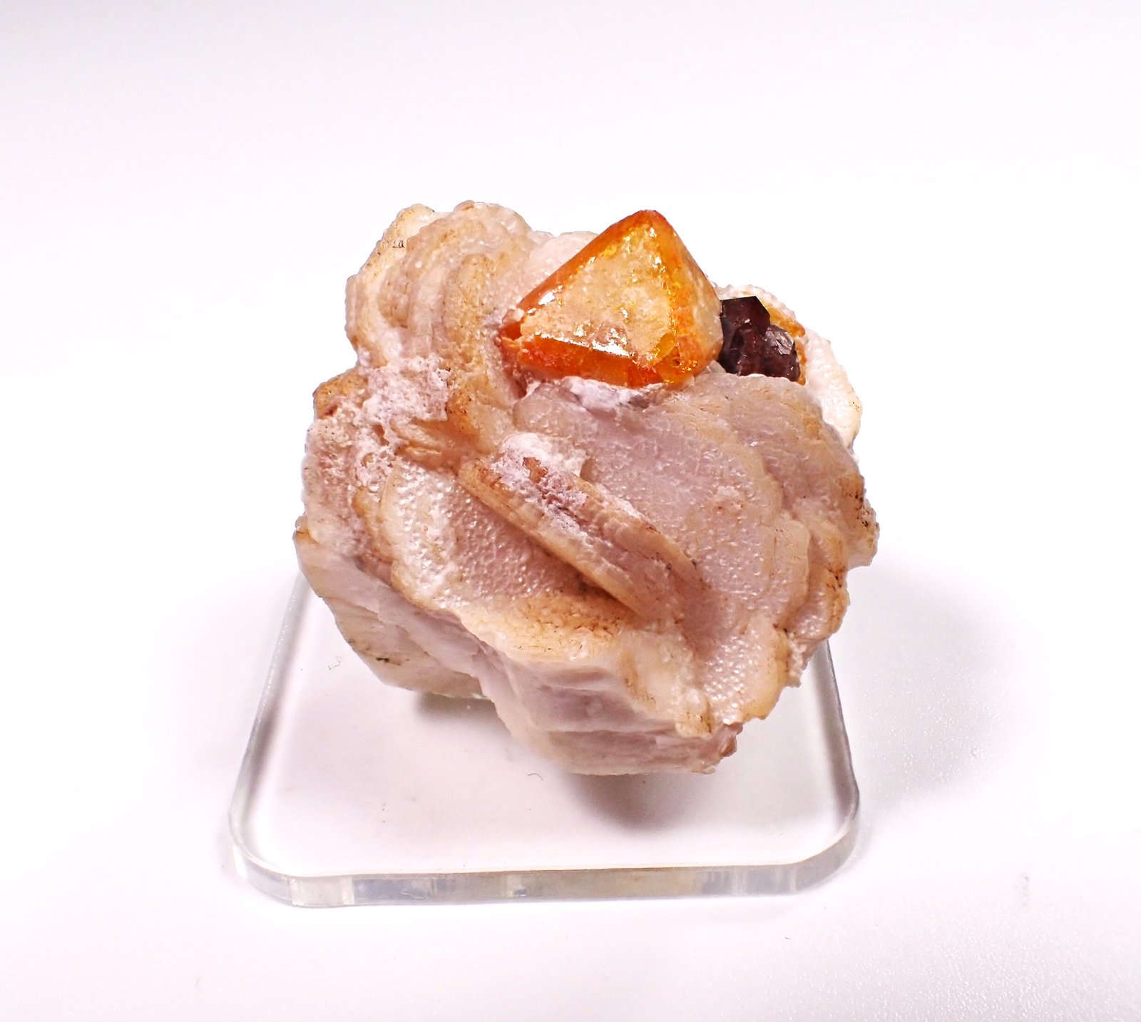 Fluornatromicrolite, Garnet (variety spessartine)
27 mm x 24 mm x 27 mm
(Autor: Don Lum)