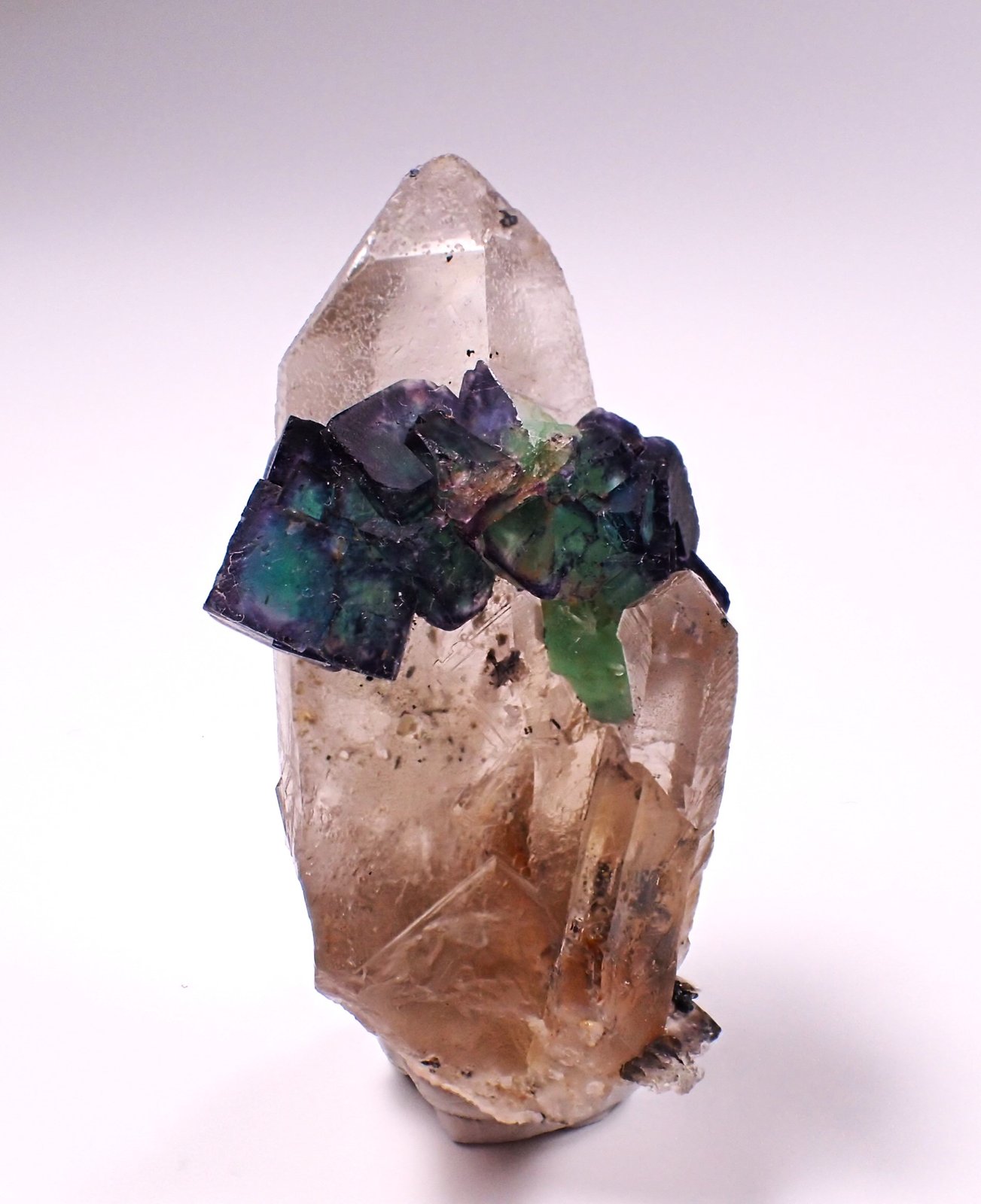 Fluorite, Quartz (variety smoky quartz, variety citrine)
53 mm x 27 mm x 22 mm
(Autor: Don Lum)