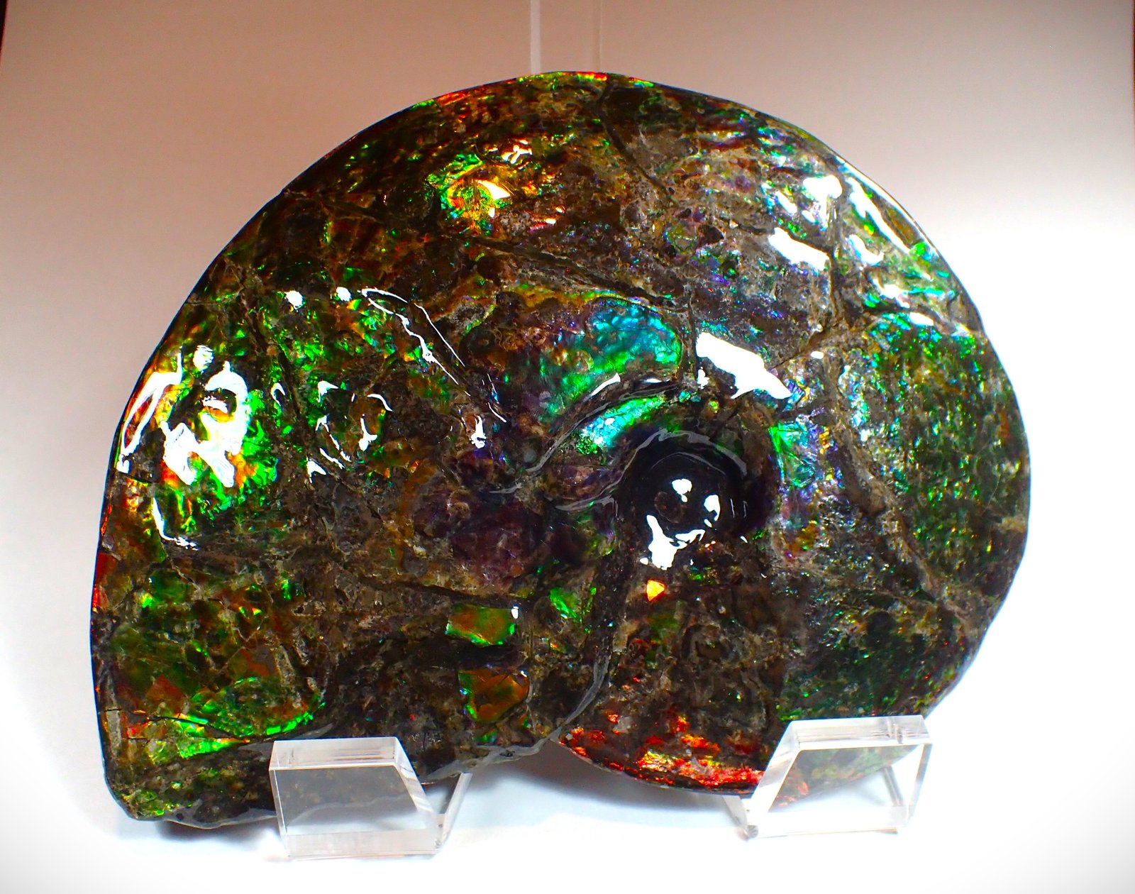 Calcite after ammonite
220 mm x 171 mm x 40 mm
(Autor: Don Lum)