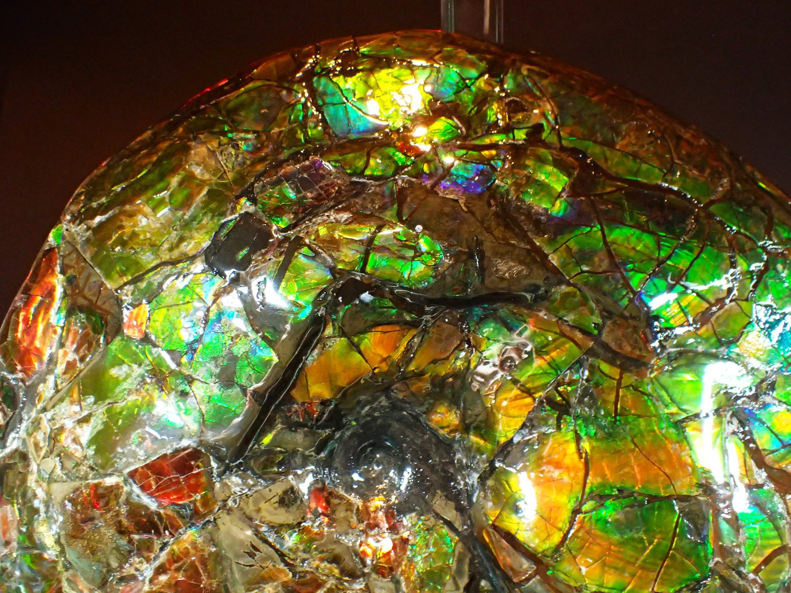 Calcite after ammonite
272 mm x 200 mm
(Autor: Don Lum)