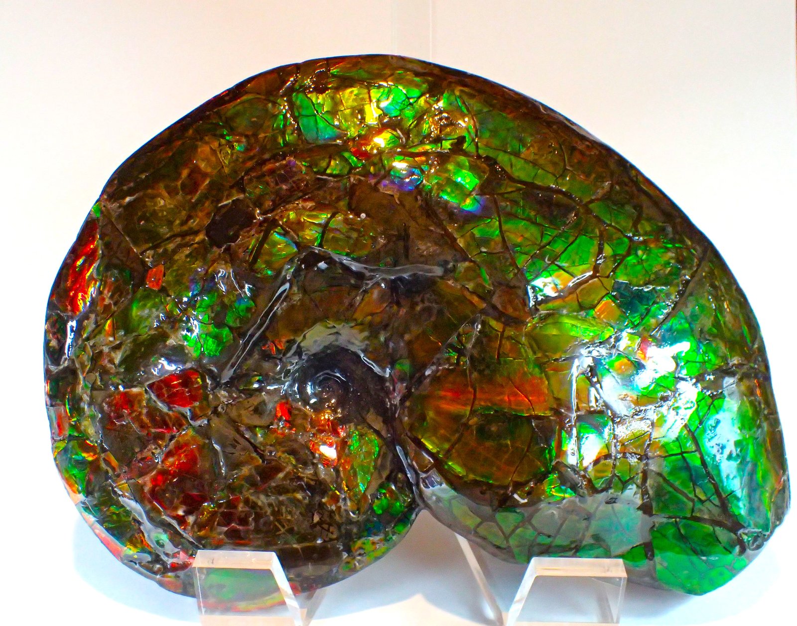 Calcite after ammonite
272 mm x 200 mm
(Autor: Don Lum)