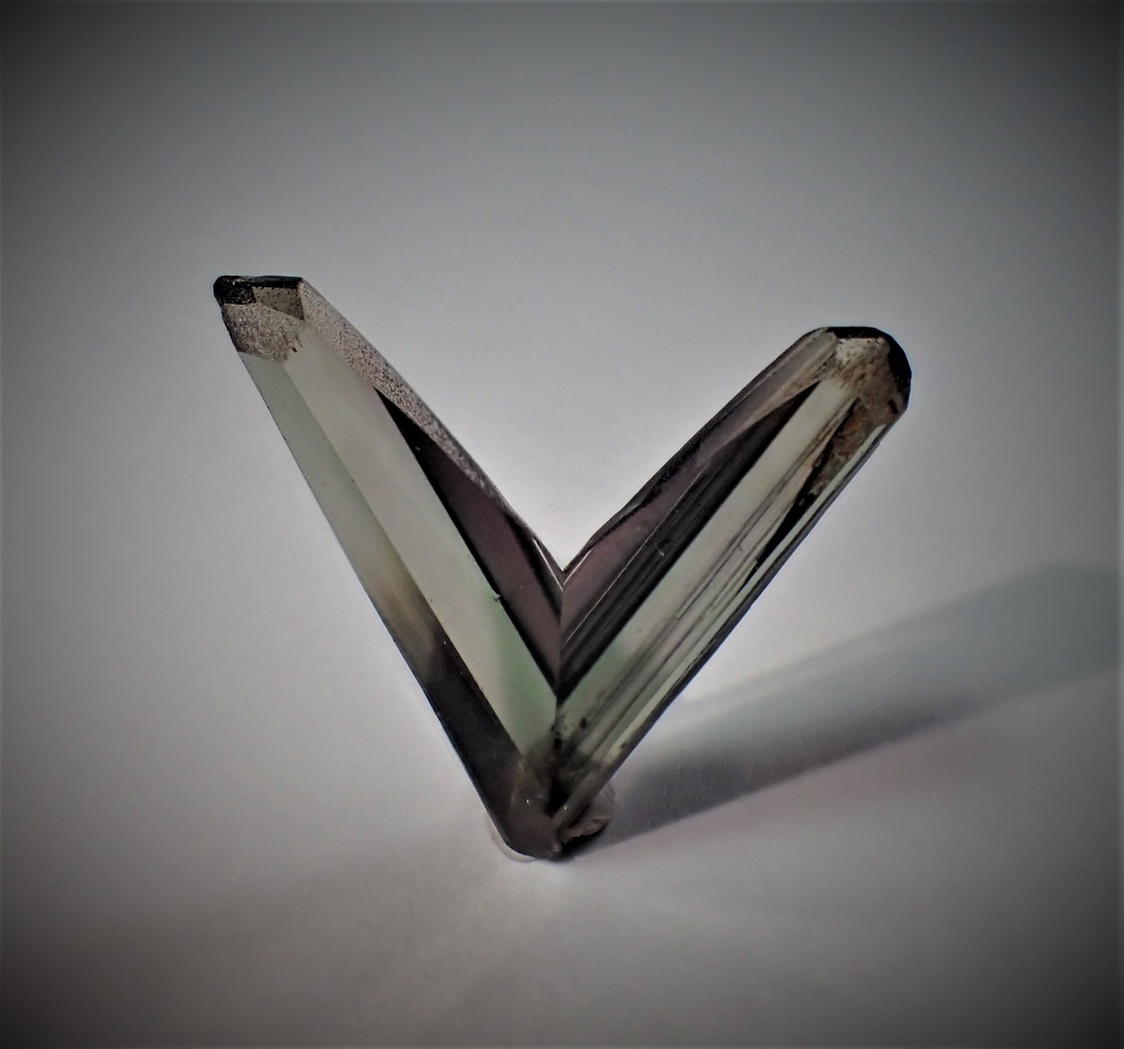 Diaspore
18 mm x 18 mm x 4 mm
(Autor: Don Lum)