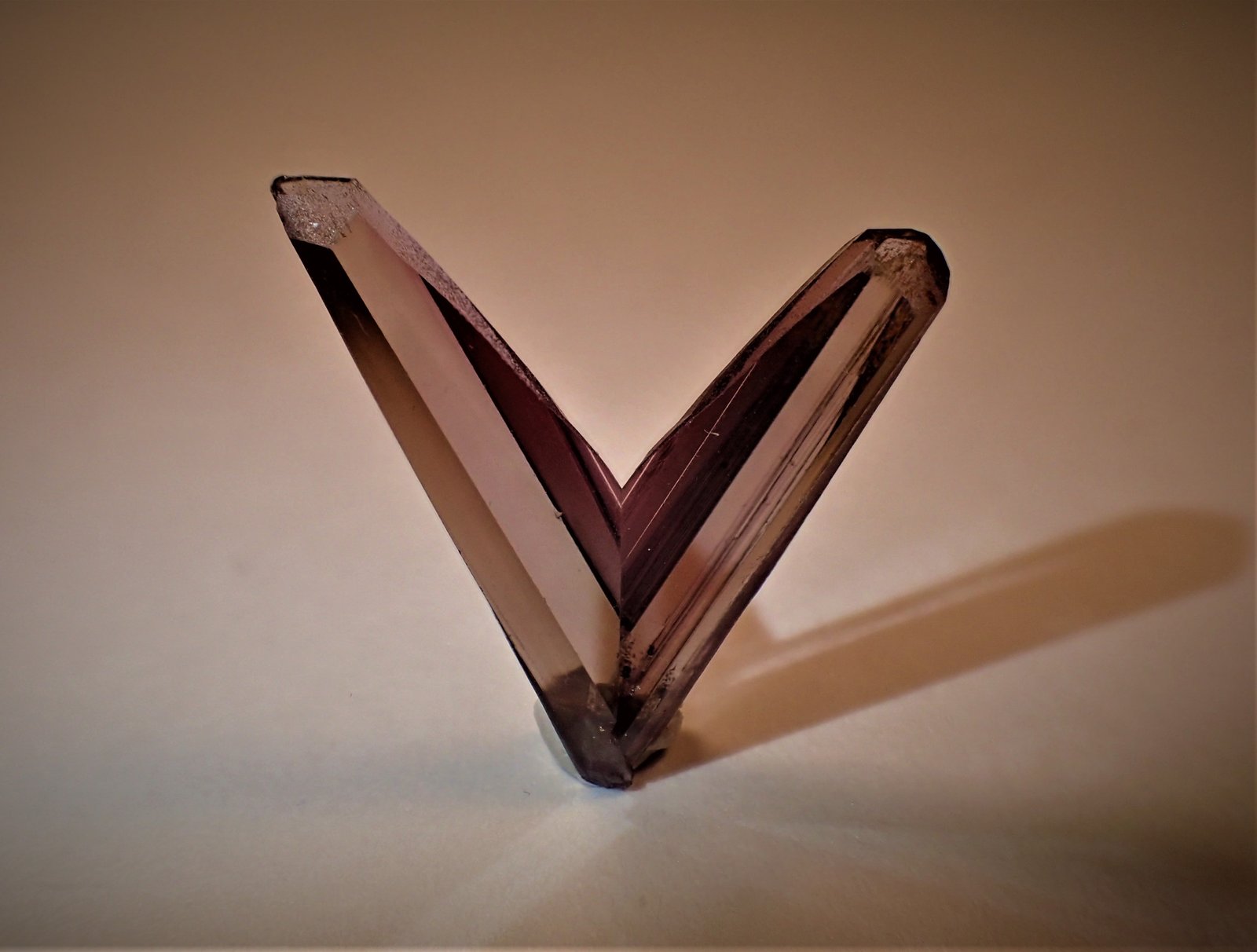 Diaspore
18 mm x 18 mm x 4 mm
(Autor: Don Lum)