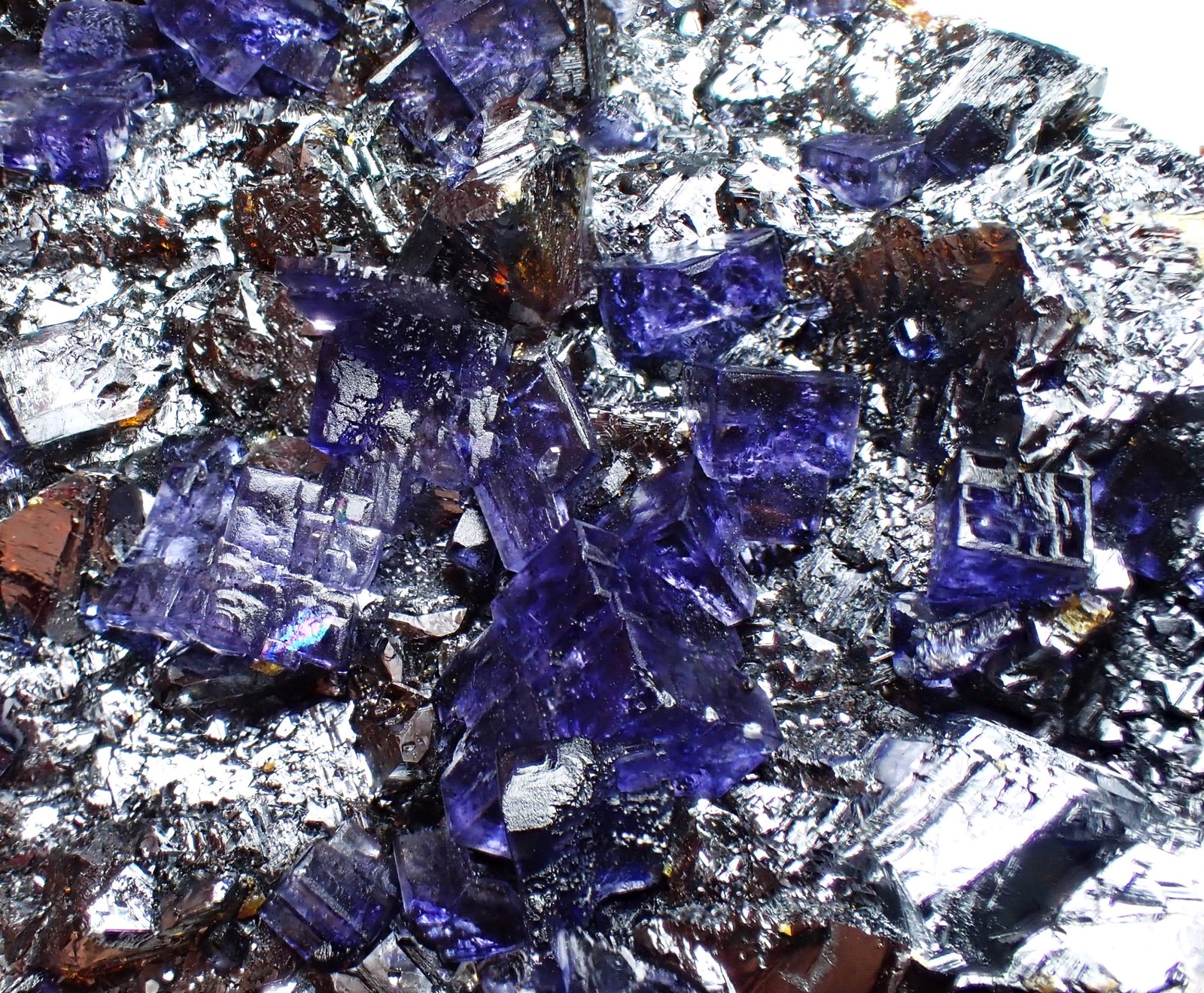 Fluorite, Sphalerite
110 mm x 72 mm x 65 mm
(Autor: Don Lum)
