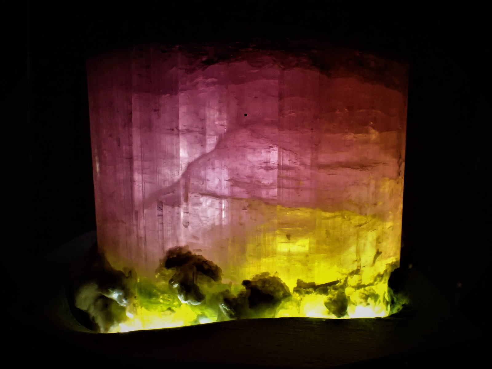 Elbaite (Tourmaline Group), Albite, Quartz
12 cm x  11.5 cm
(Autor: Don Lum)