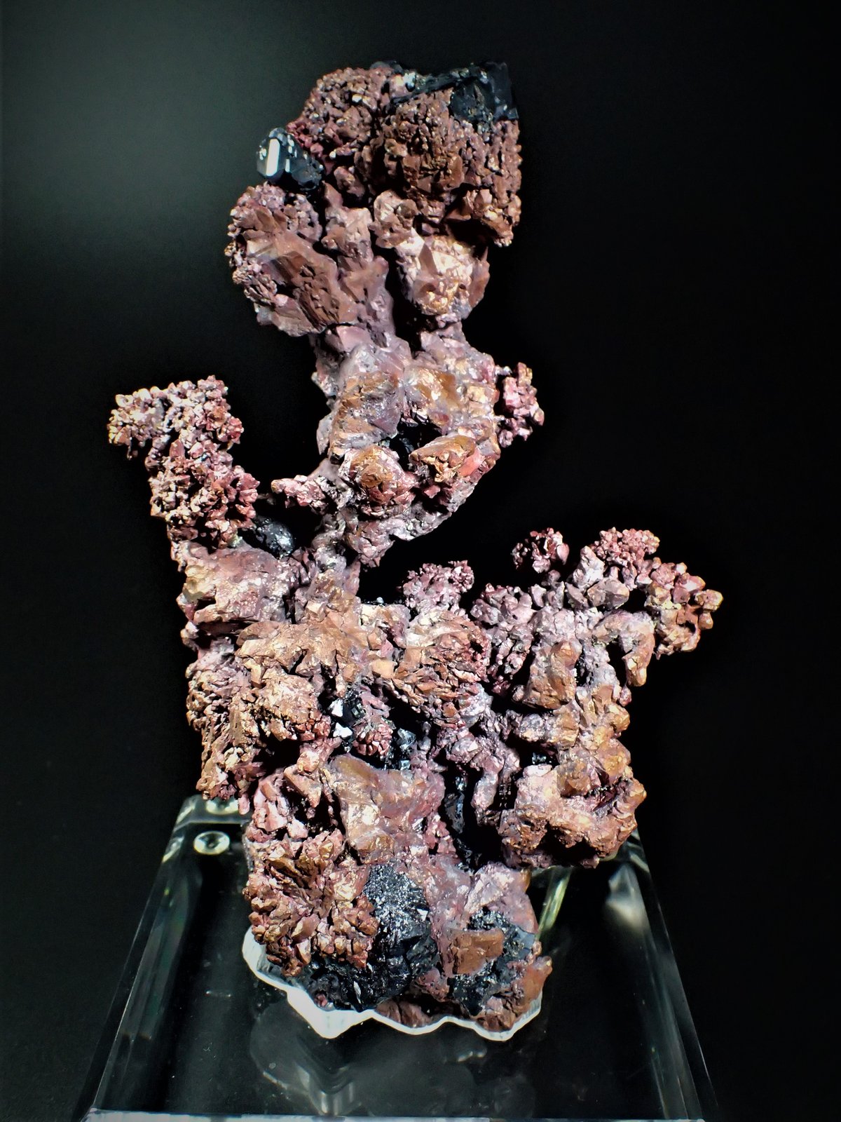 Copper after Cuprite
175 mm x 115 mm x 105 mm
(Autor: Don Lum)