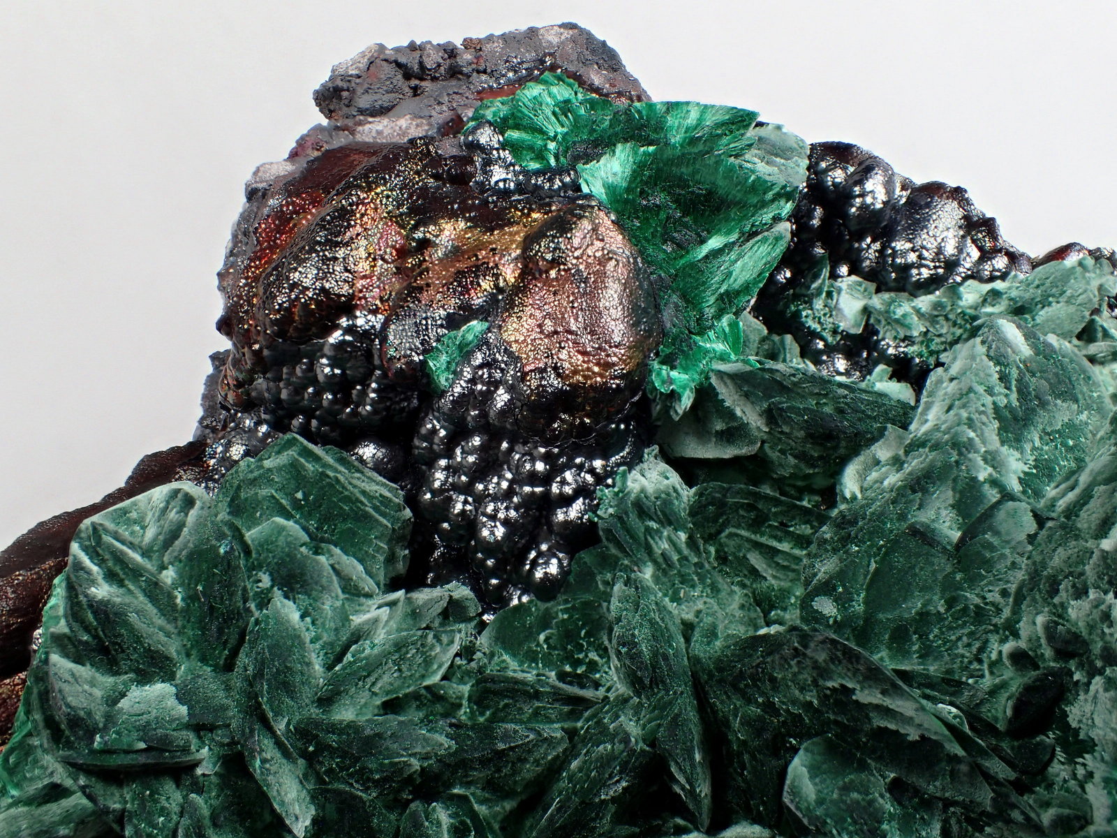 Malachite after Azurite, Goethite
15 cm x 12 cm x 9 cm
(Autor: Don Lum)