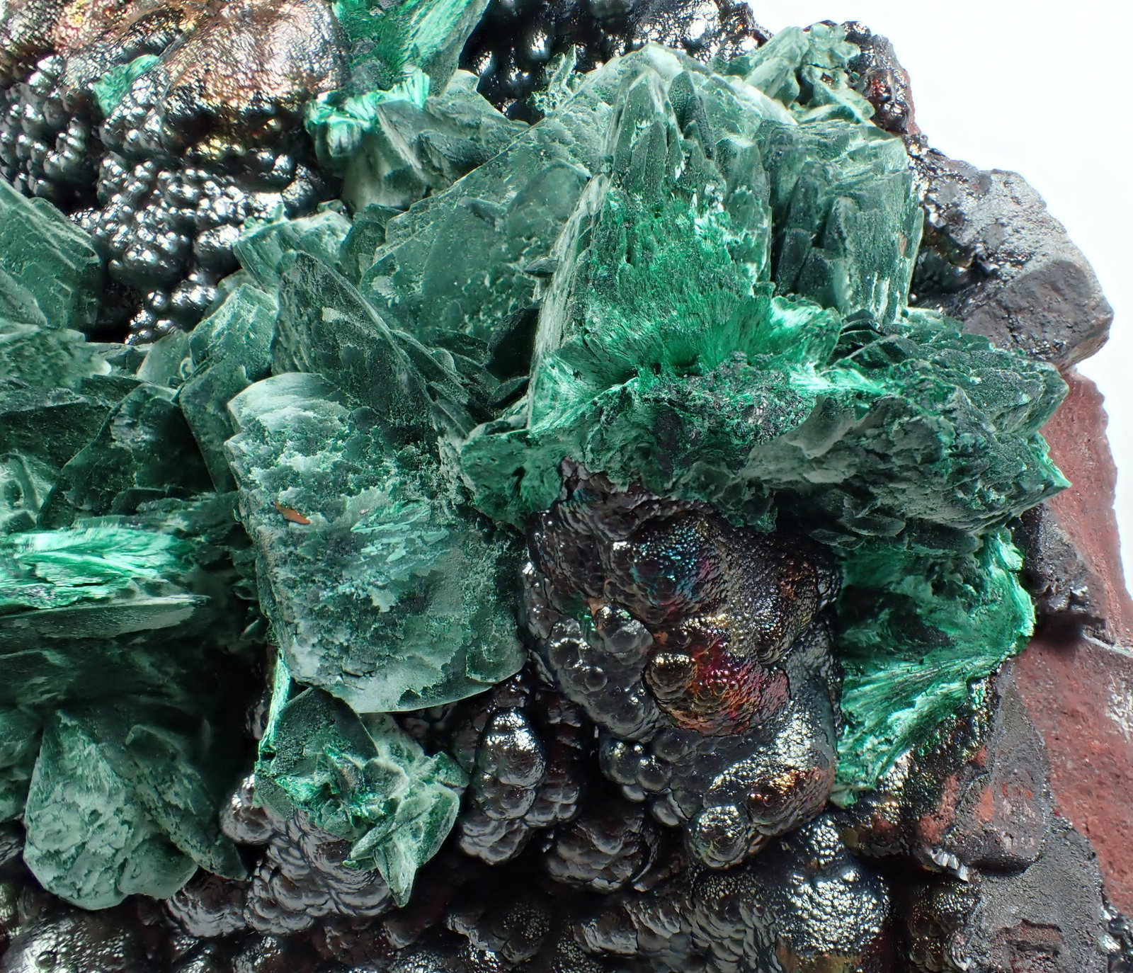 Malachite after Azurite, Goethite
15 cm x 12 cm x 9 cm
(Autor: Don Lum)