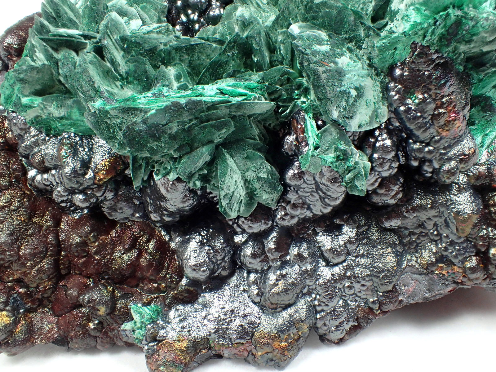 Malachite after Azurite, Goethite
15 cm x 12 cm x 9 cm
(Autor: Don Lum)