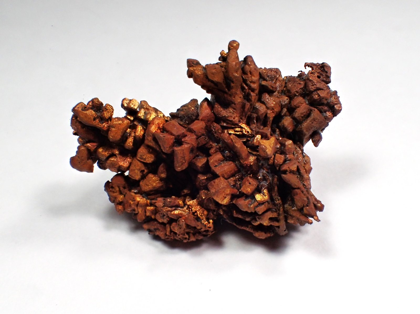 Copper
60 mm x 50 mm
(Autor: Don Lum)