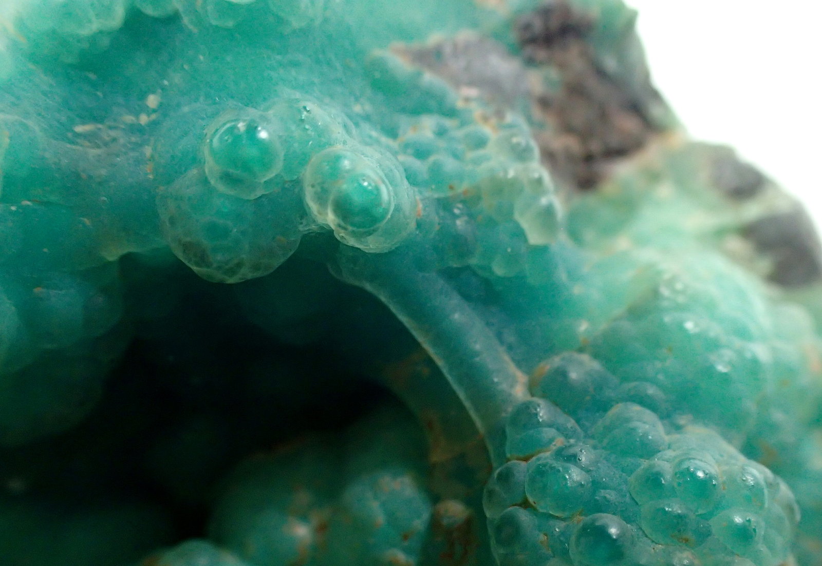 Quartz (variety chalcedony), Chrysocolla
94 mm x 52 mm x  34 mm
(Autor: Don Lum)