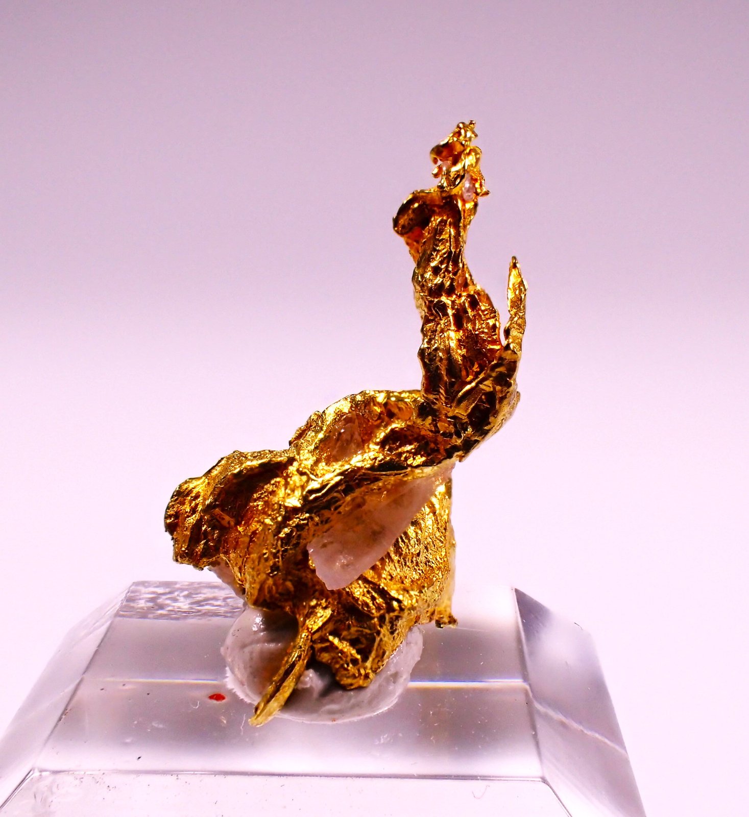 Native Gold
18 mm x 11 mm
(Autor: Don Lum)