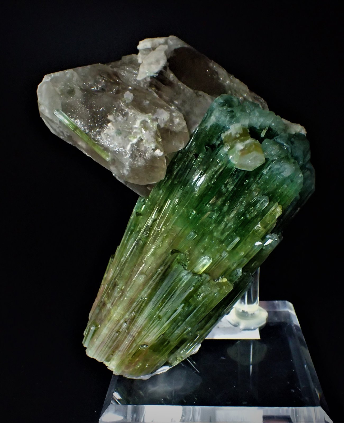 Elbaite (Tourmaline Group), Quartz (variety smoky quartz), Albite
165 mm x 145 mm x 95 mm
(Autor: Don Lum)