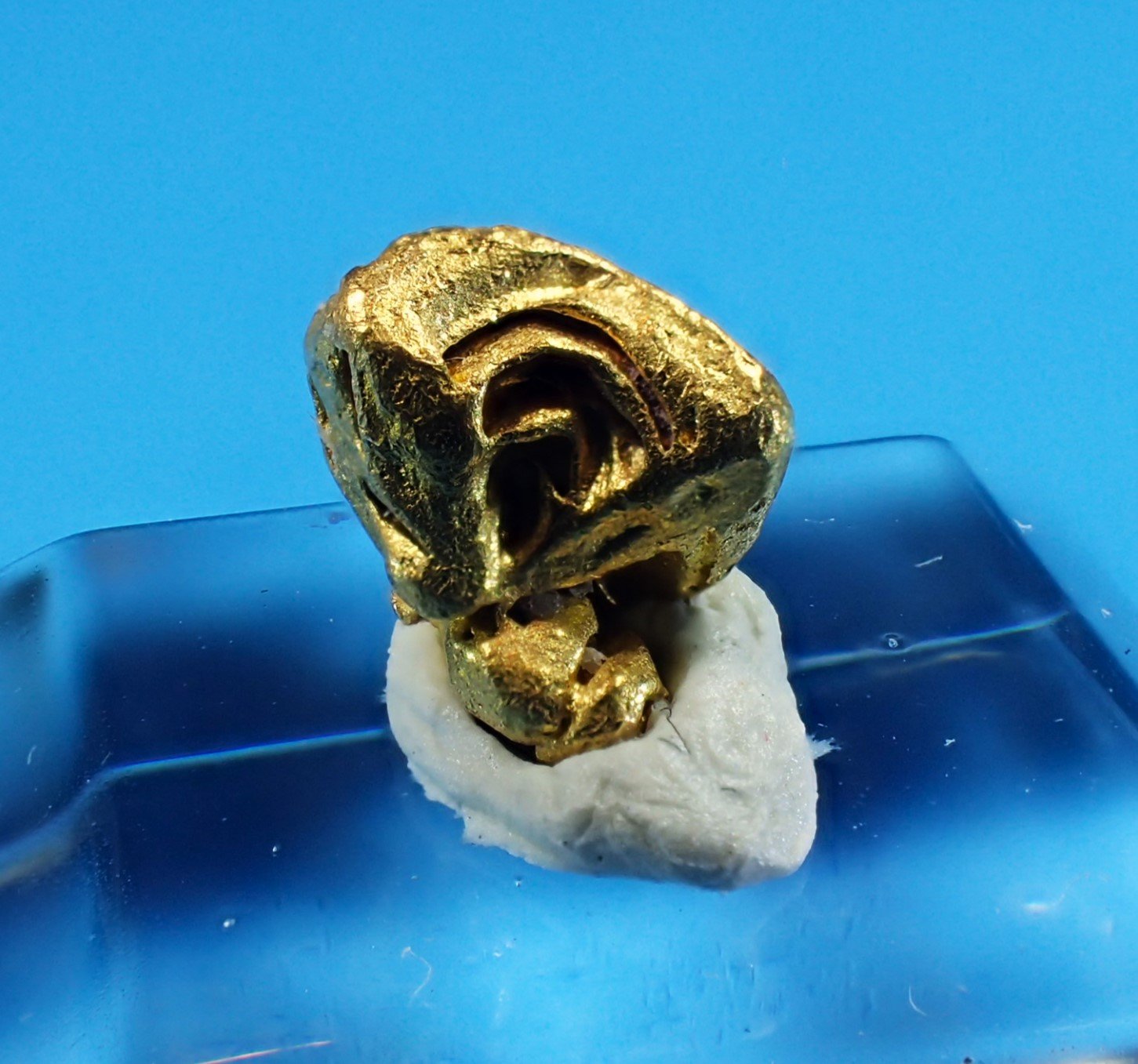 Gold
7 mm x 6 mm
(Autor: Don Lum)