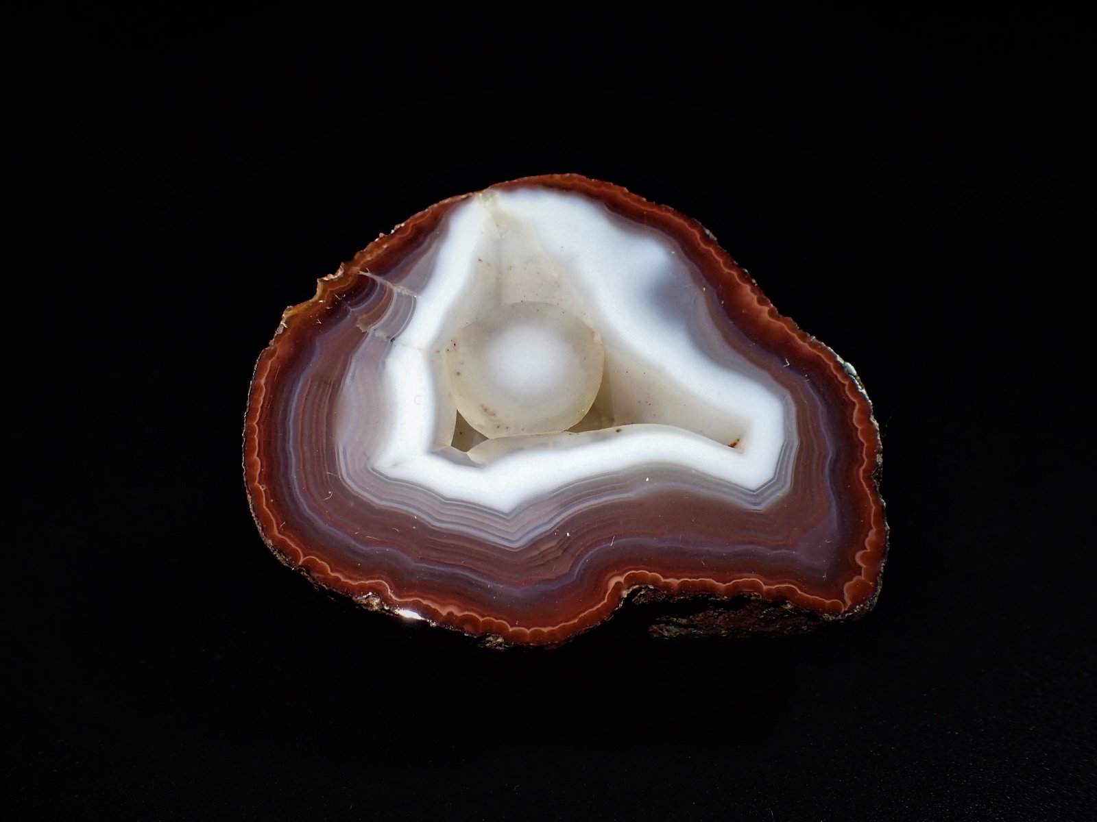 Quartz (variety agate, variety chalcedony)
50 mm x 40 mm x 27 mm
(Autor: Don Lum)