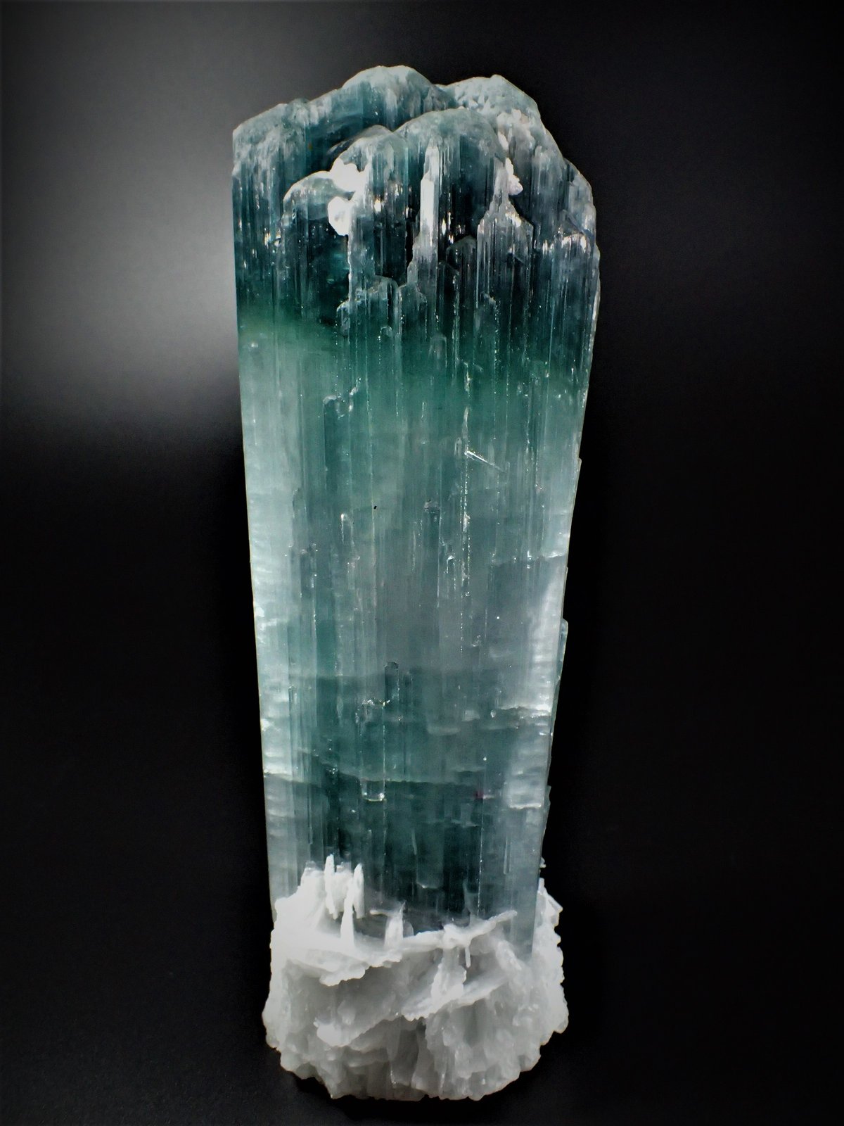 Elbaite (Tourmaline Group, variety indicolite), Albite (variety cleavelandite)
212mm x 76mm x 68mm
(Autor: Don Lum)
