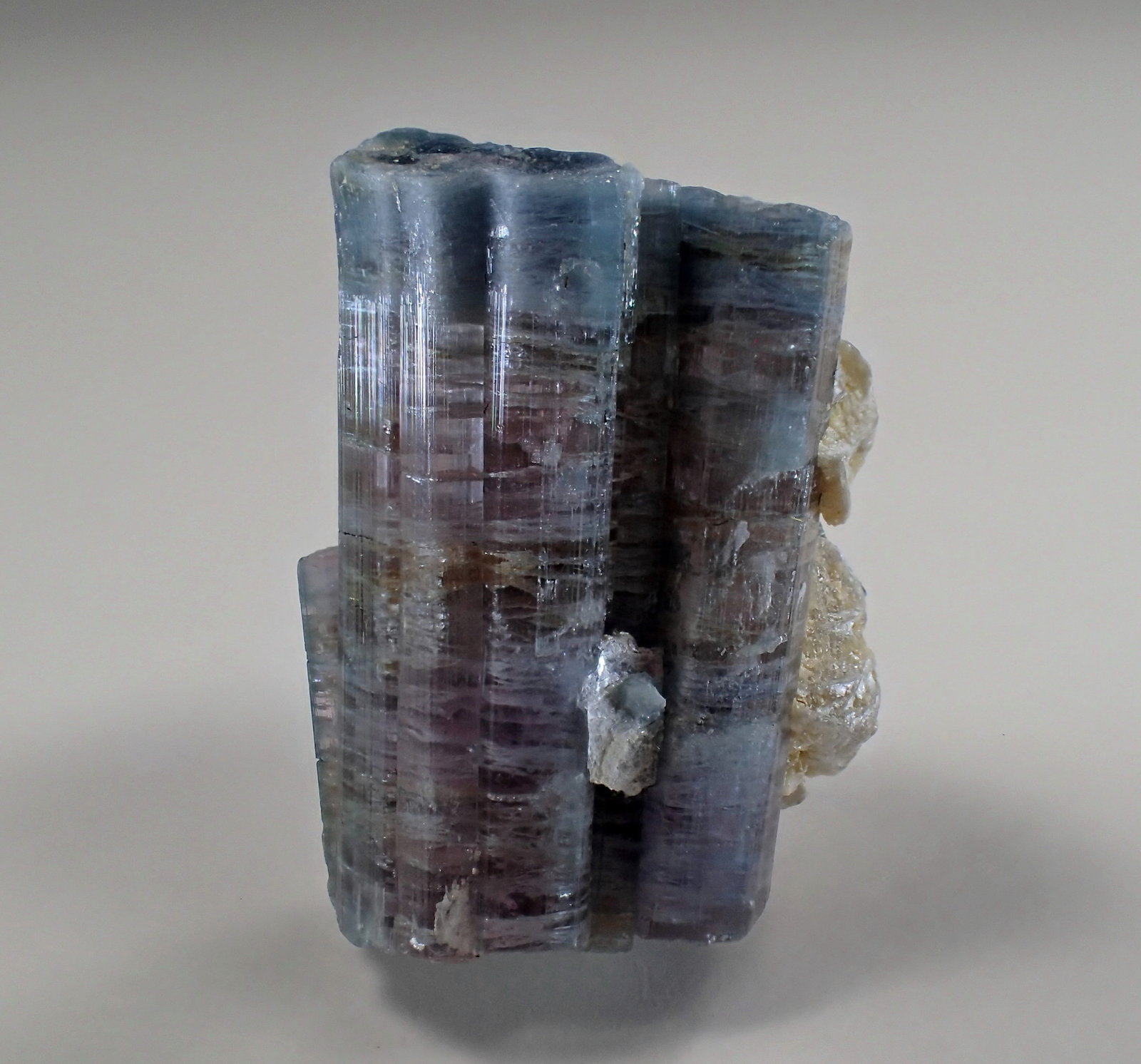 Elbaite (Tourmaline Group)
22 mm x 17 mm x 12 mm
(Autor: Don Lum)