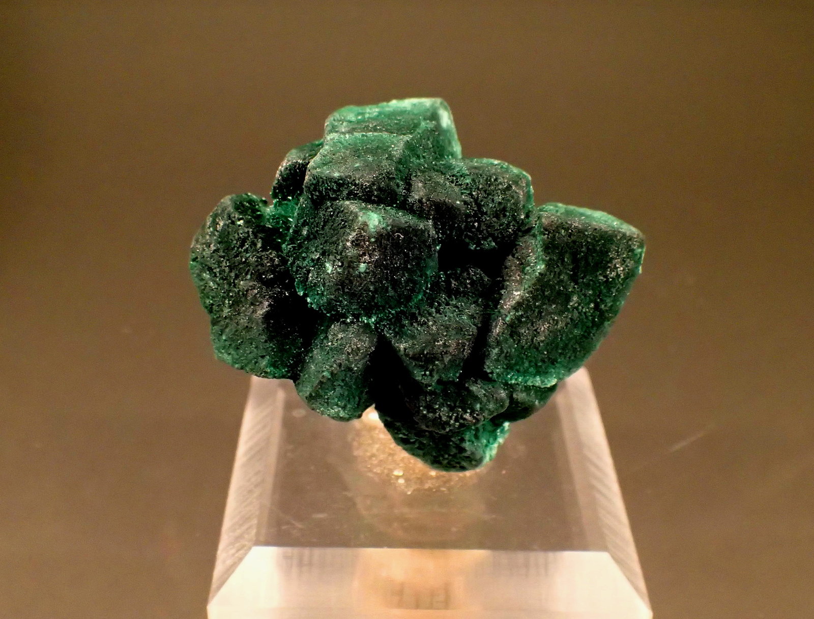 Malachite pseudomorph after Azurite
42mm x 33mm
(Autor: Don Lum)