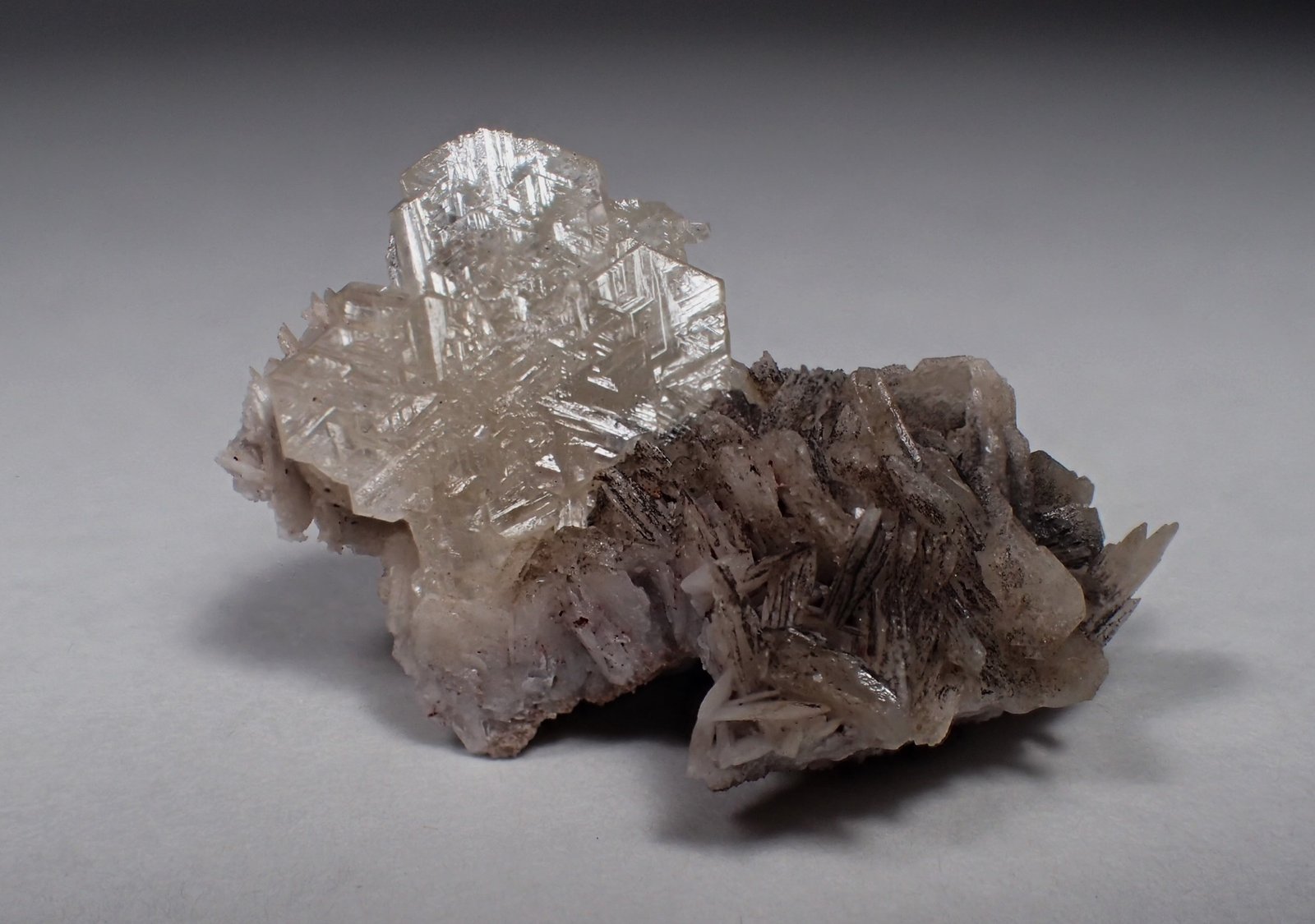 Cerussite, Baryte
30 mm x 21 mm
(Autor: Don Lum)