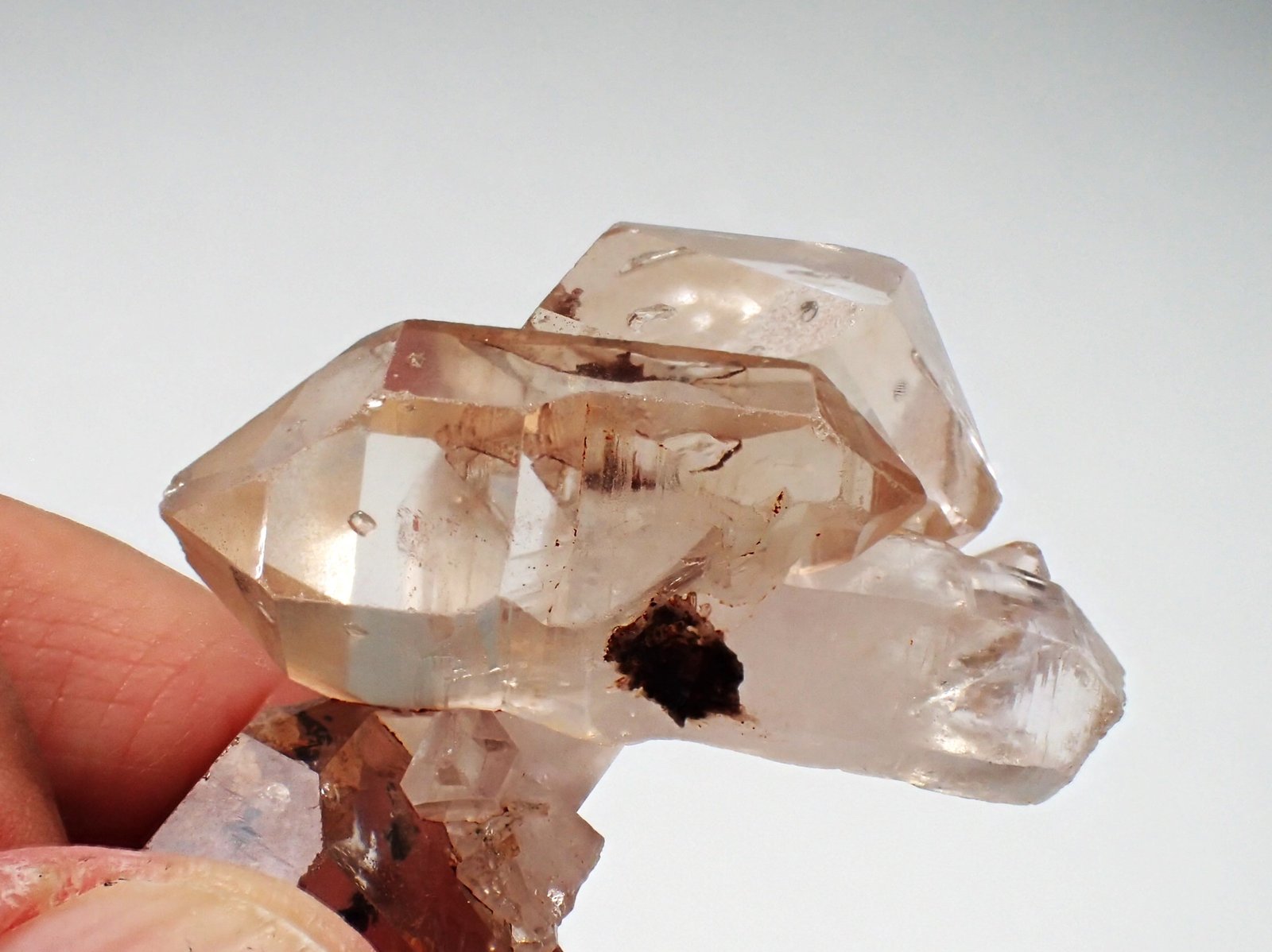 Quartz
62 mm x 40 mm
(Autor: Don Lum)