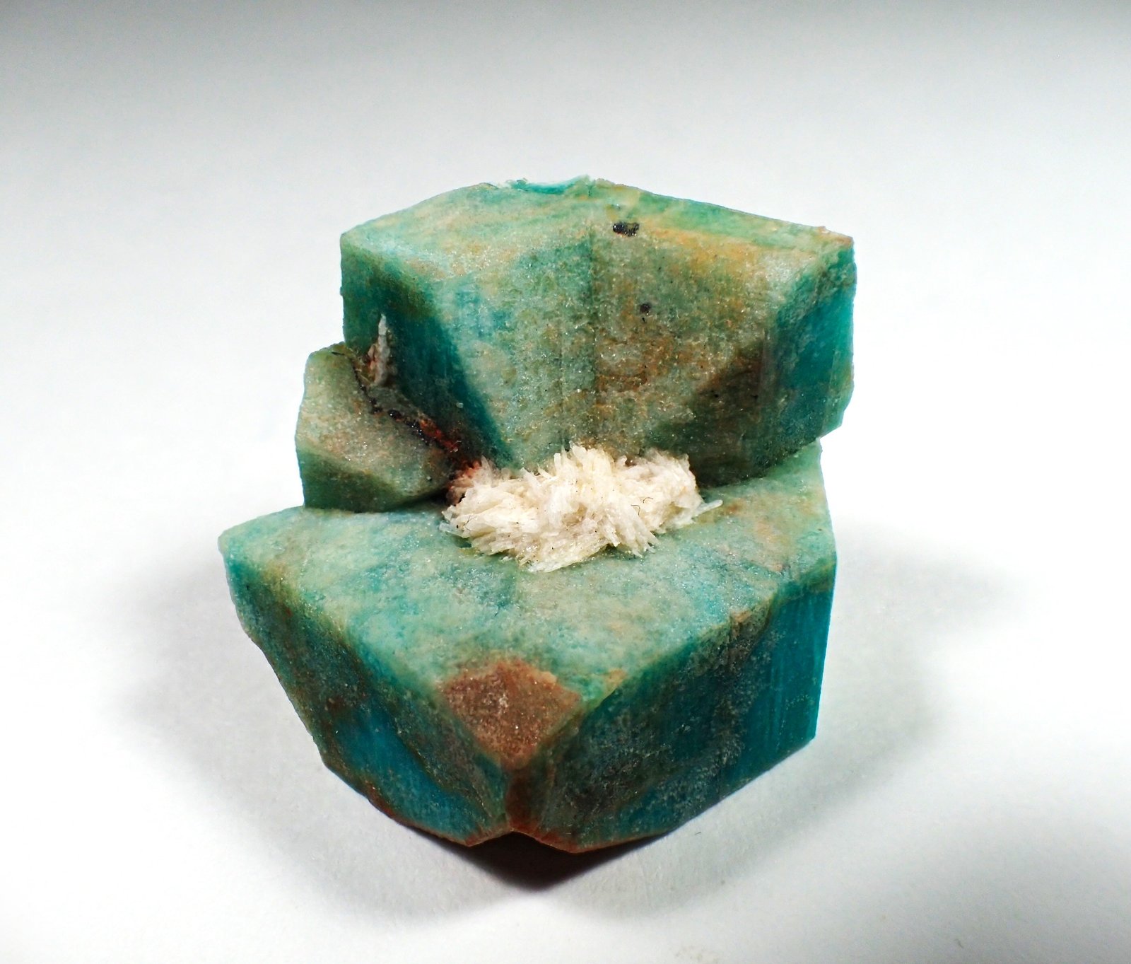 Microcline (variety amazonite) Manebach Twin, Albite
39 mm x 30 mm x 28 mm
(Autor: Don Lum)