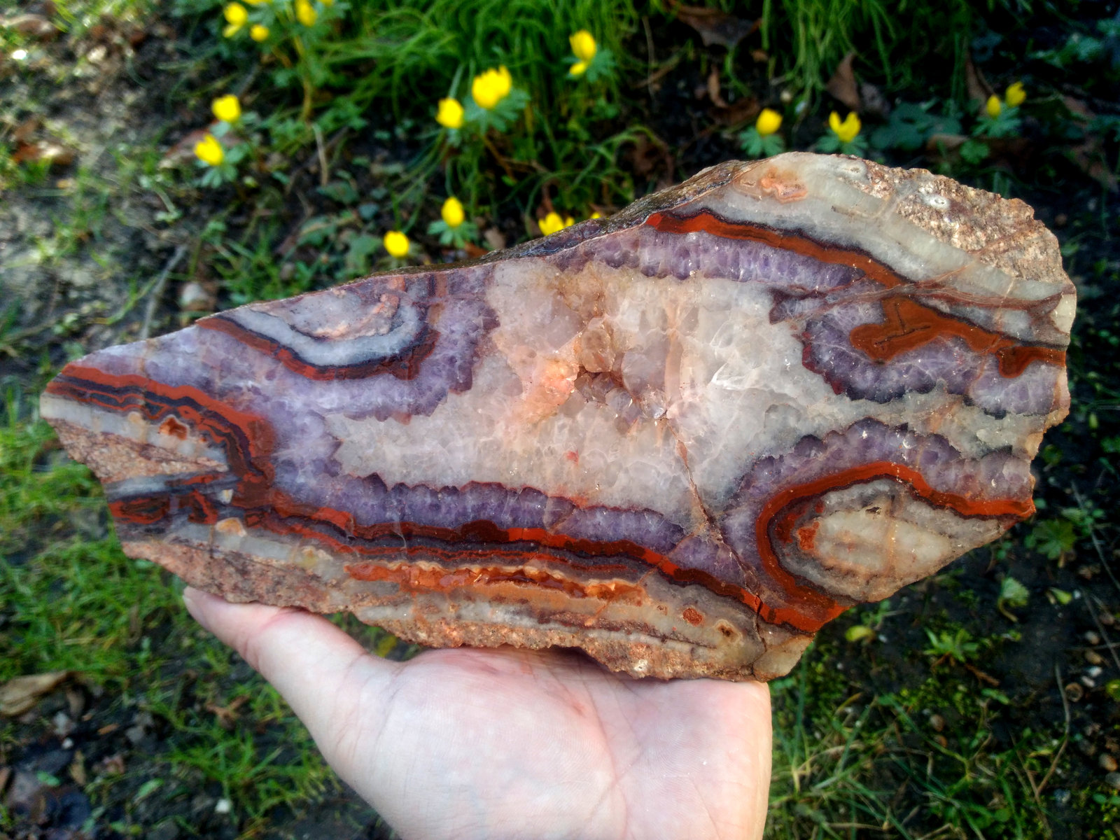 Quartz (variety agate)
~ 14 x 30 cm
(Autor: stoner)