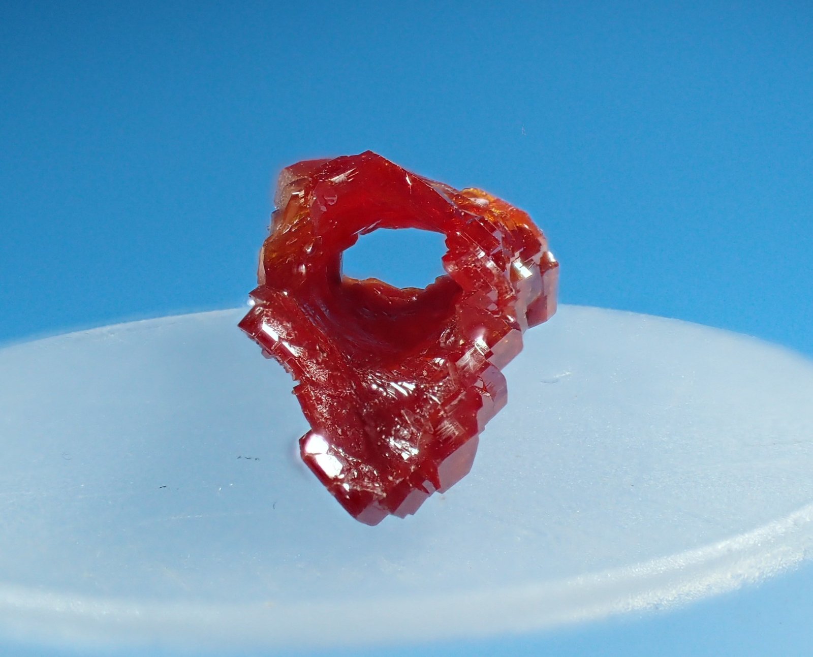 Vanadinite (variety tube vanadinite)
39 mm x 11 mm x 9 mm
(Autor: Don Lum)