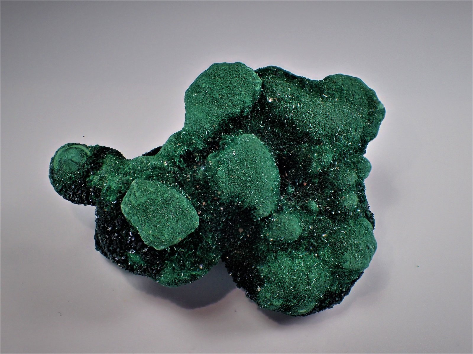 Malachite, Azurite
64 mm x 48 mm x 42 mm
(Autor: Don Lum)