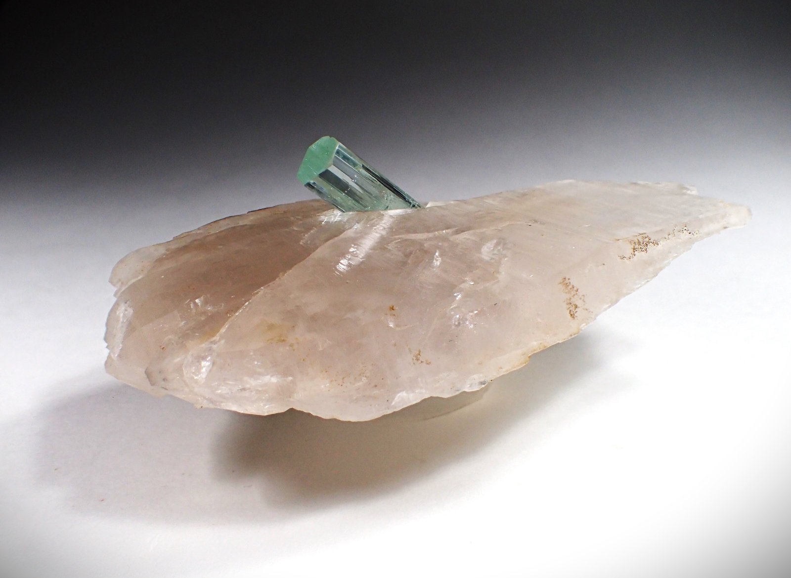 Beryl (variety aquamarine), Quartz
115 mm x 62 mm x 25 mm
(Autor: Don Lum)