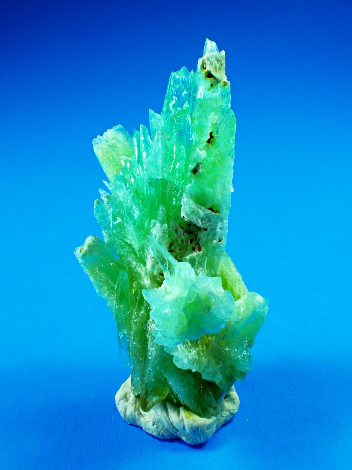 Phosphophyllite
54 mm x 24 mm x 25 mm
(Autor: Don Lum)