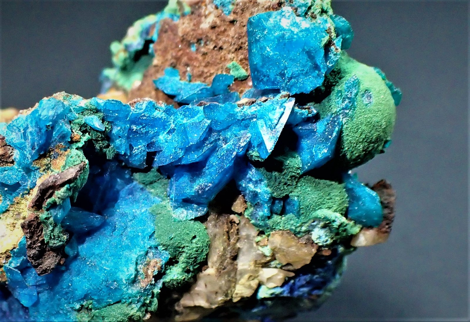 Liroconite, Olivenite
48 mm x 30 mm
(Autor: Don Lum)