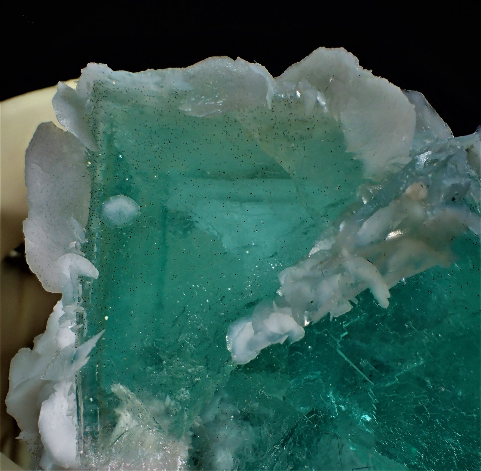 Calcite, Fluorite
96 mm x 88 mm x 85 mm
(Autor: Don Lum)