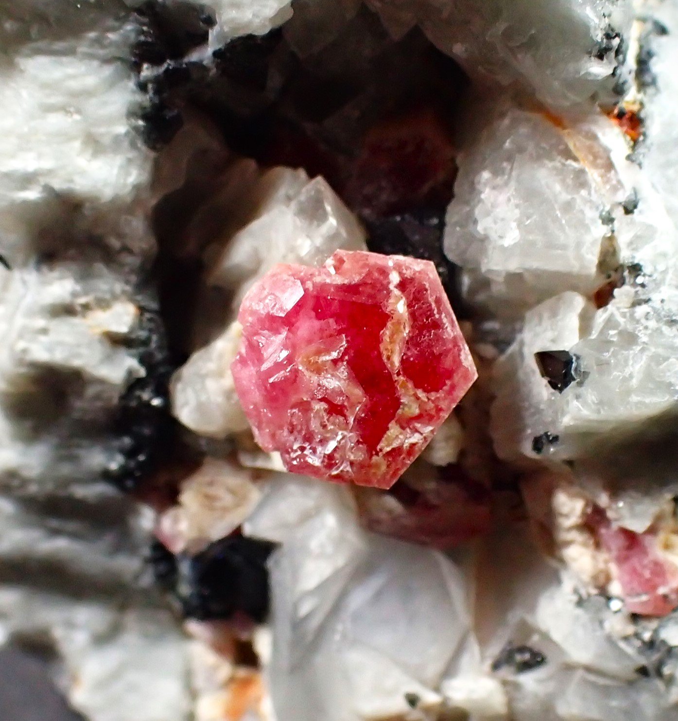 Pezzottaite, Beryl (variety aquamarine)), Schorl, Albite
69 mm x 43 mm x 44 mm
(Autor: Don Lum)