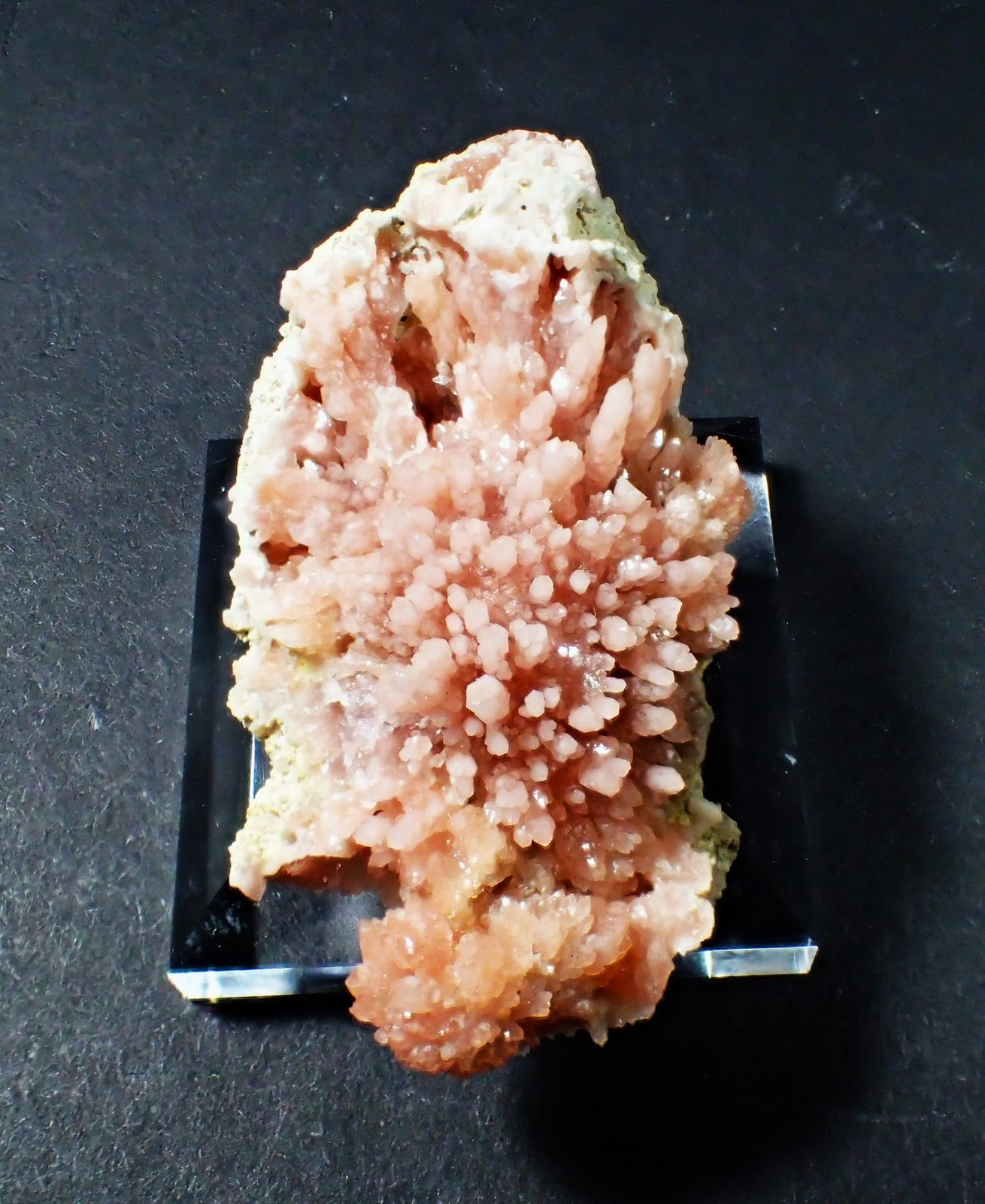 Quartz (variety rose quartz)
46 mm x 25 mm x 17 mm
(Autor: Don Lum)