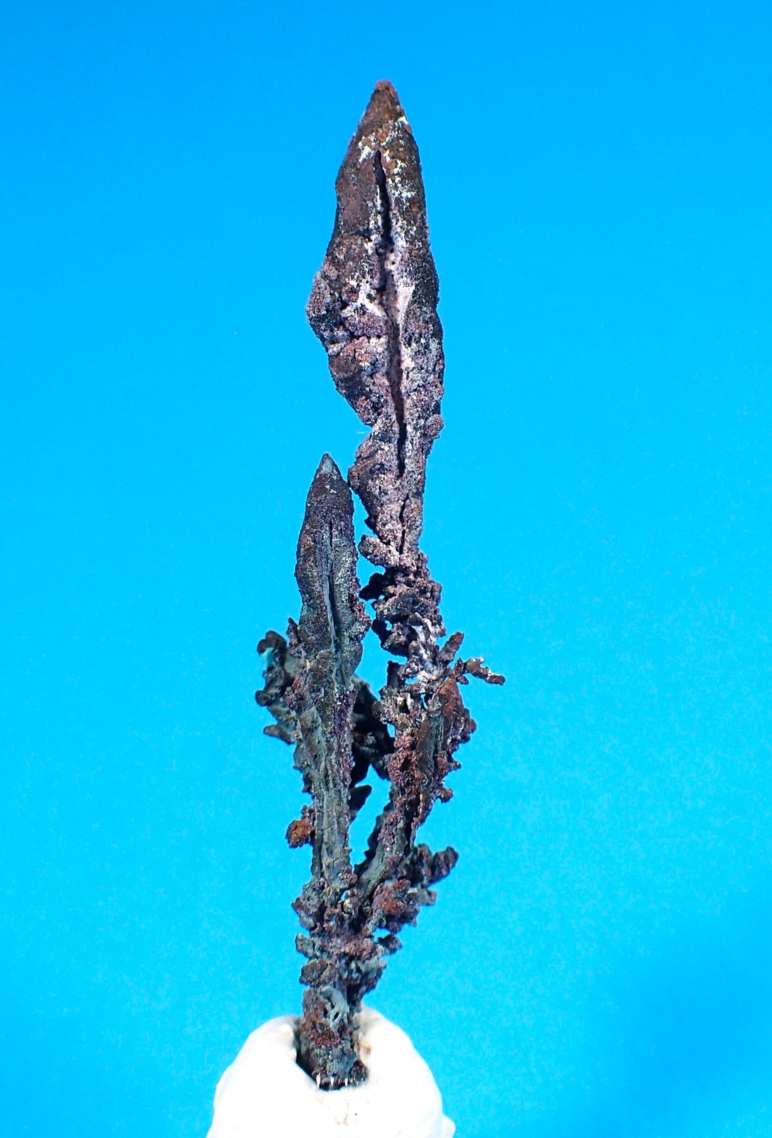 Native Copper
71 mm x 17 mm
(Autor: Don Lum)