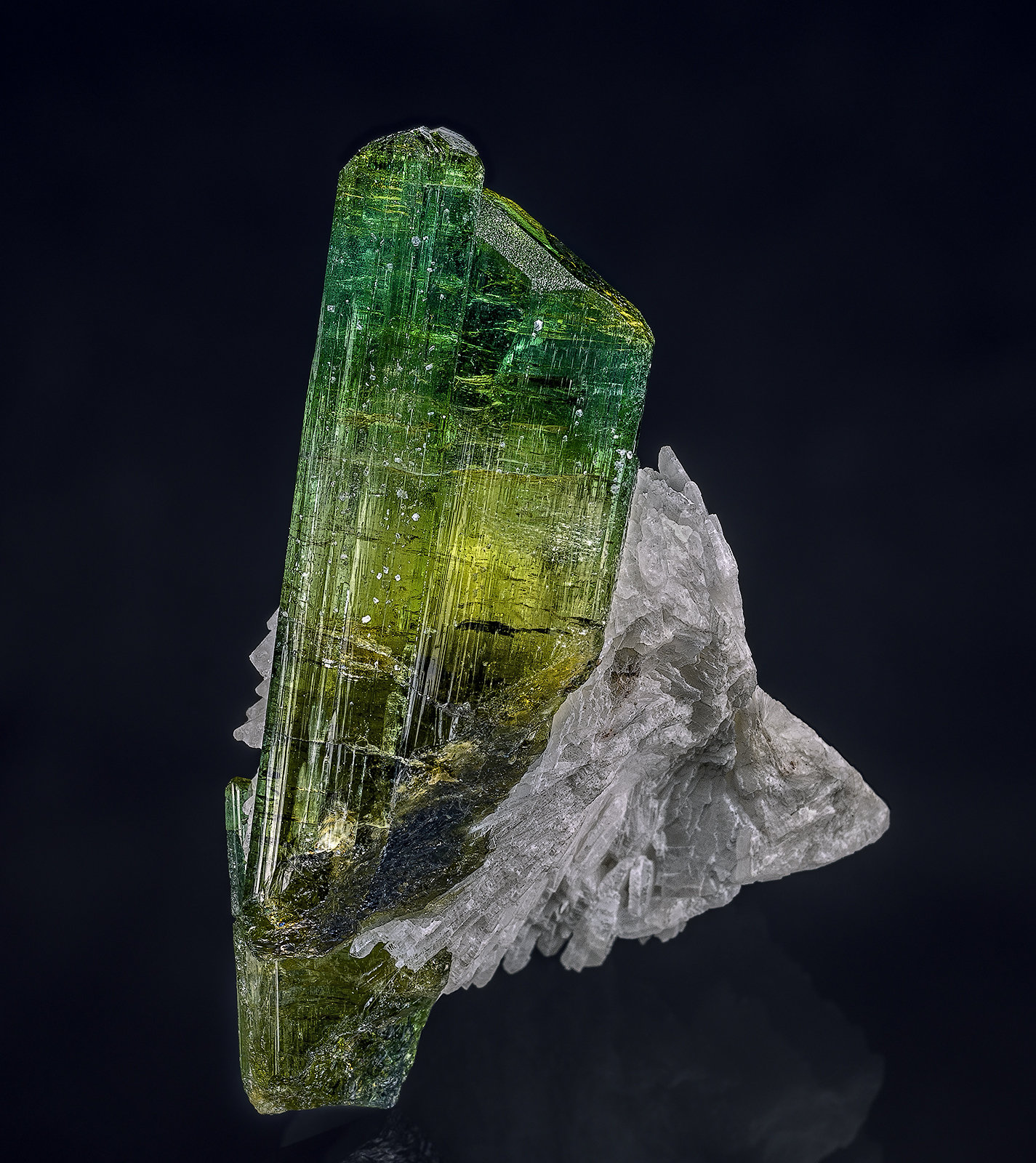 Elbaite, Albite
4.7 x 3.2 cm
(Autor: am mizunaka)