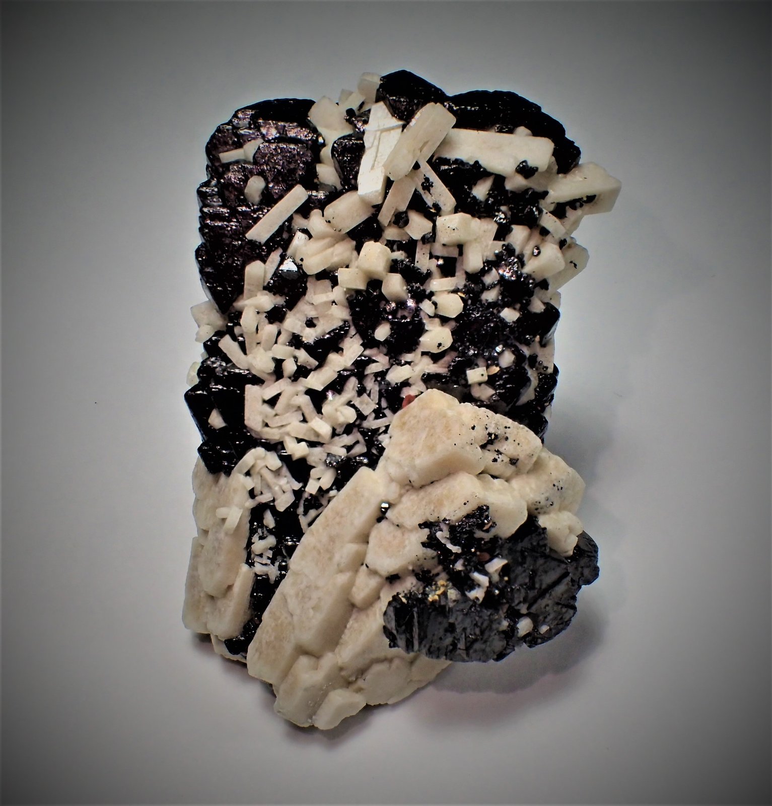Magnetite (variety Ti-bearing), Microcline
53 mm x 39 mm x 22 mm
(Autor: Don Lum)