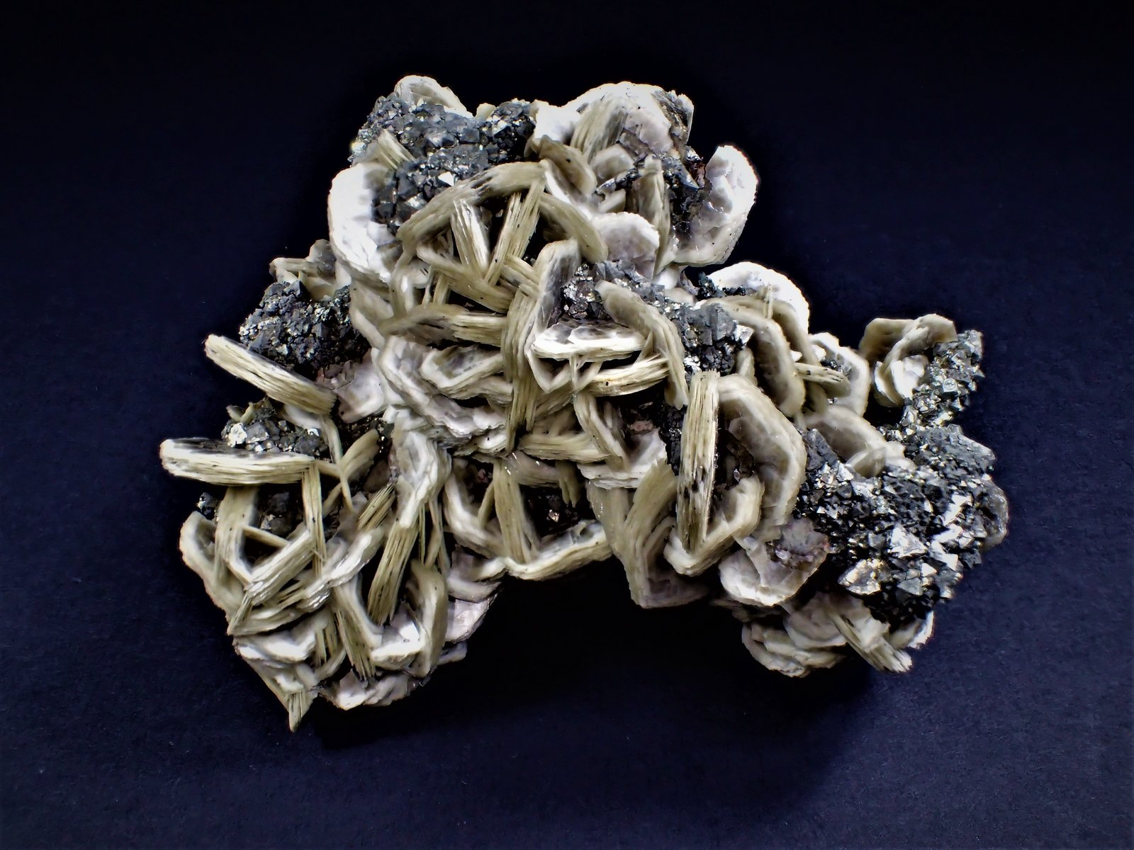 Siderite, Pyrite (octahedral)
100 mm x 78 mm x 65 mm
(Autor: Don Lum)