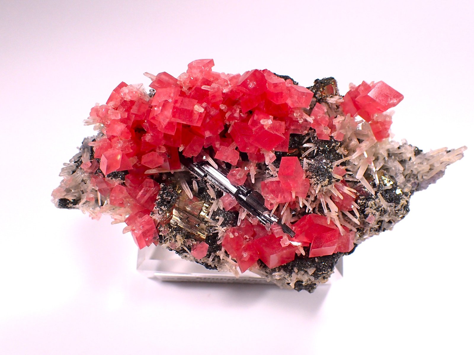Rhodochrosite, Pyrite, Quartz, Fluorite, Tetrahedrite, Hubnerite
132 mm x 78 mm
(Autor: Don Lum)